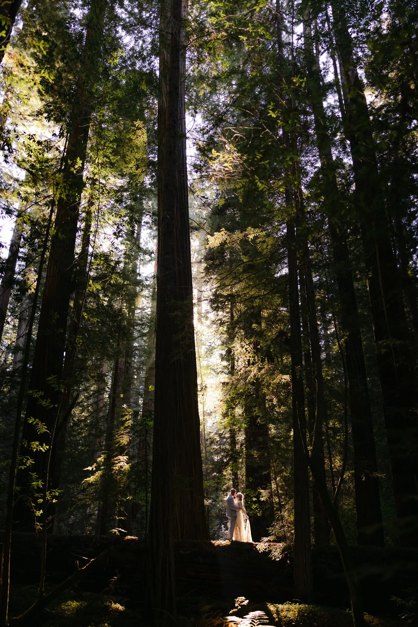 257A8580.jpg