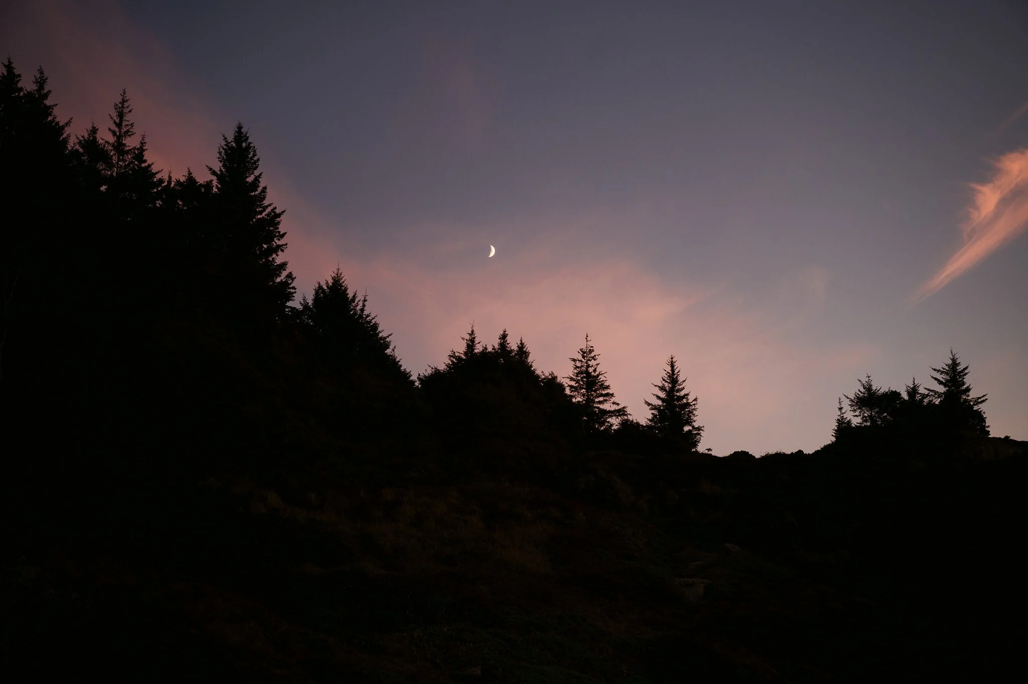 Z62_0554.jpg