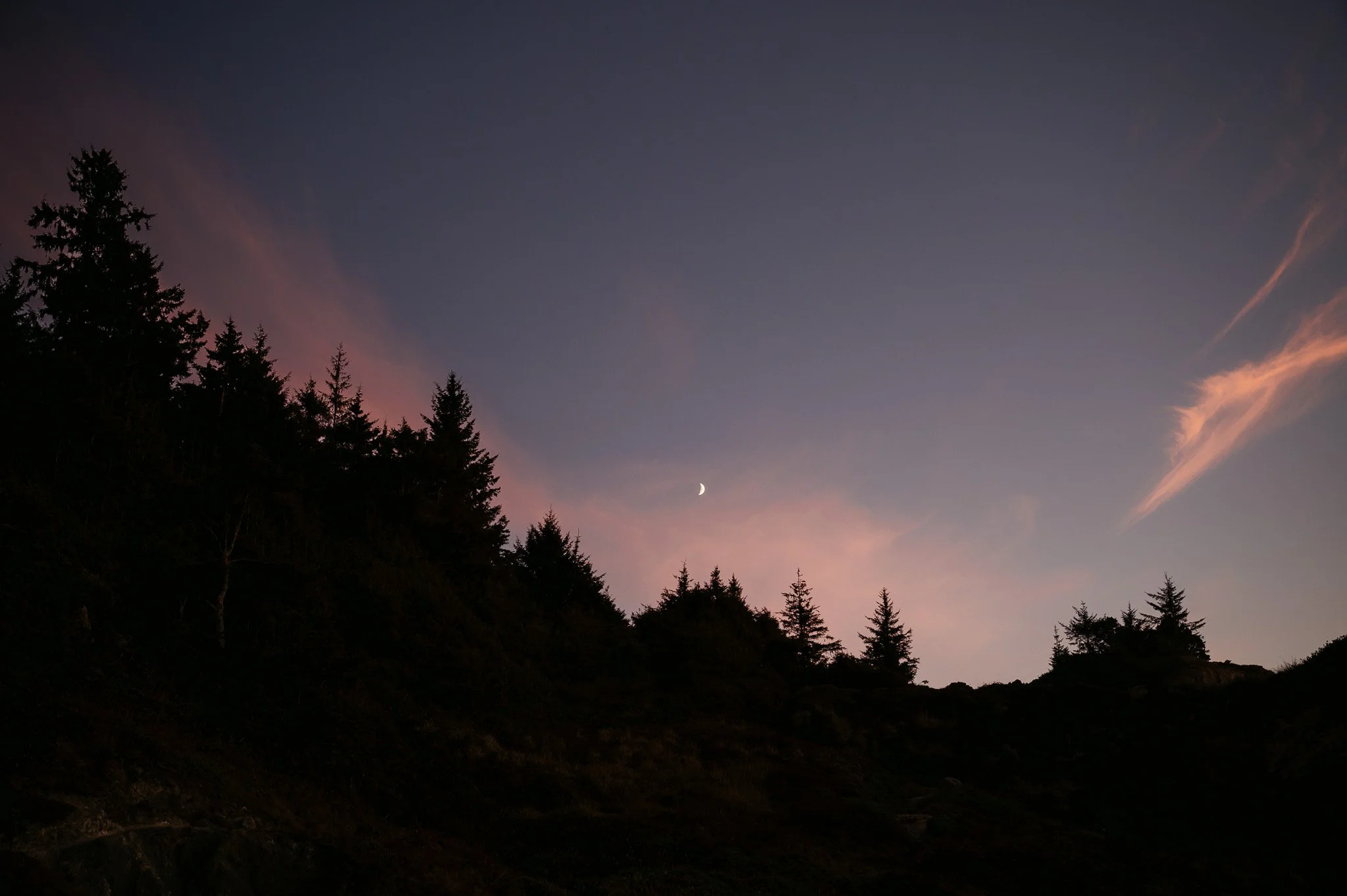 Z62_0556.jpg