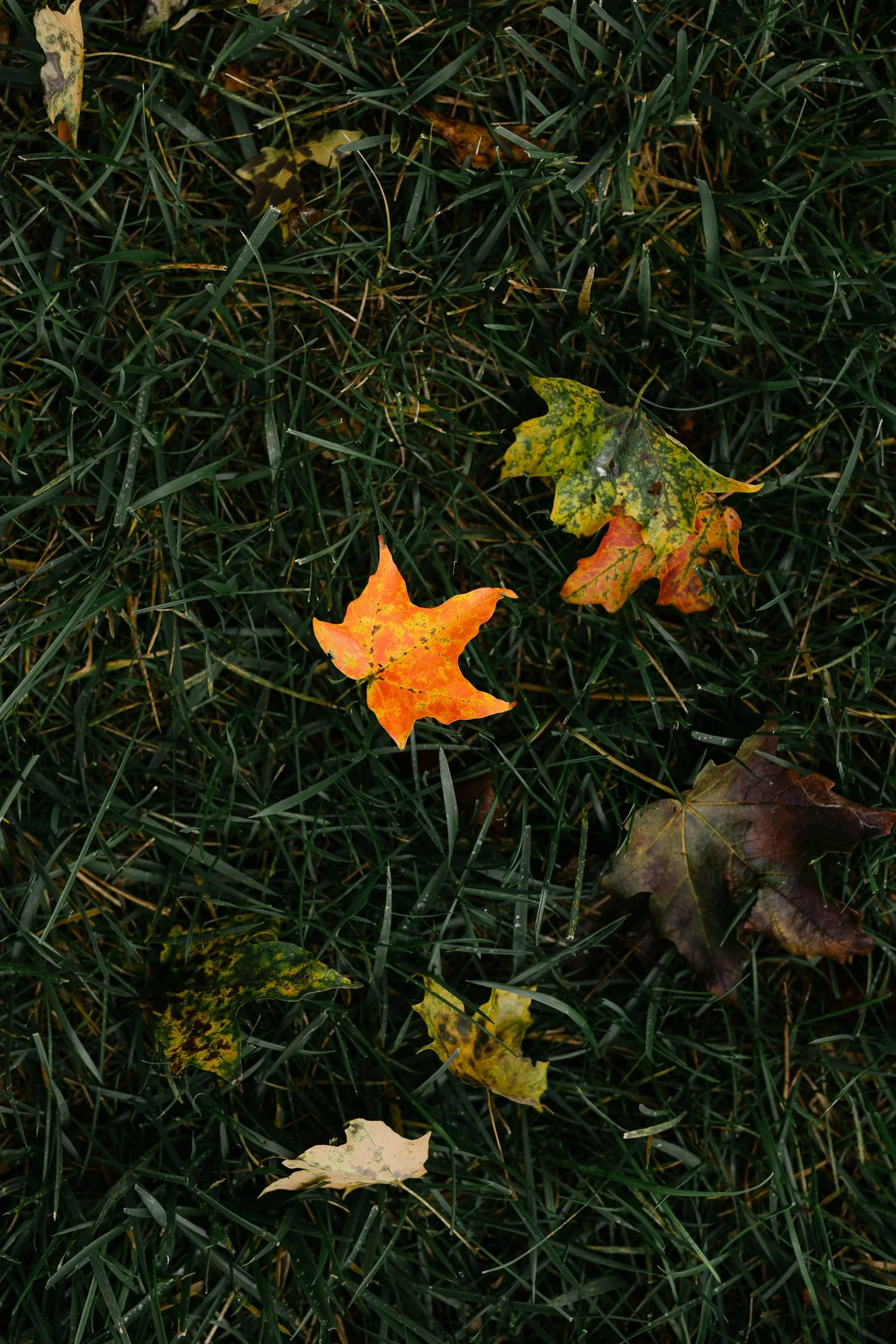 152A6416.jpg