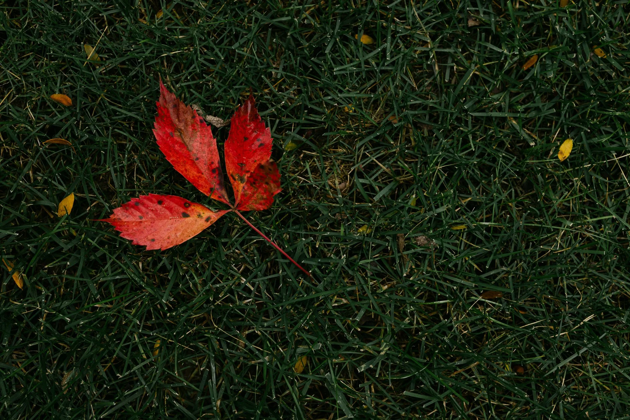 152A6900.jpg