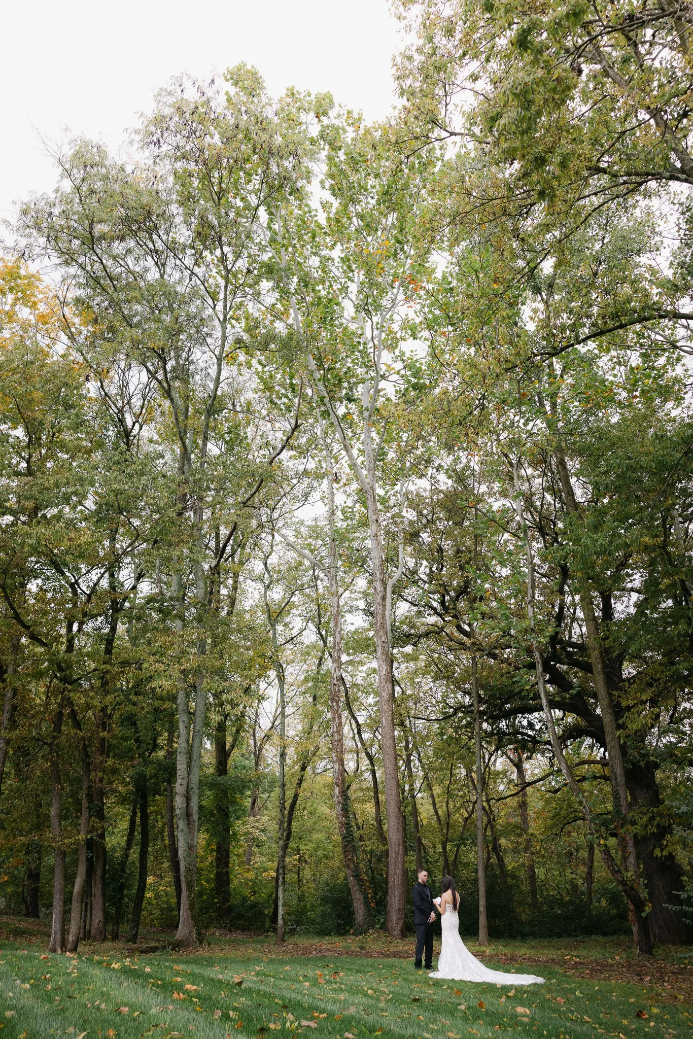 257A6218.jpg