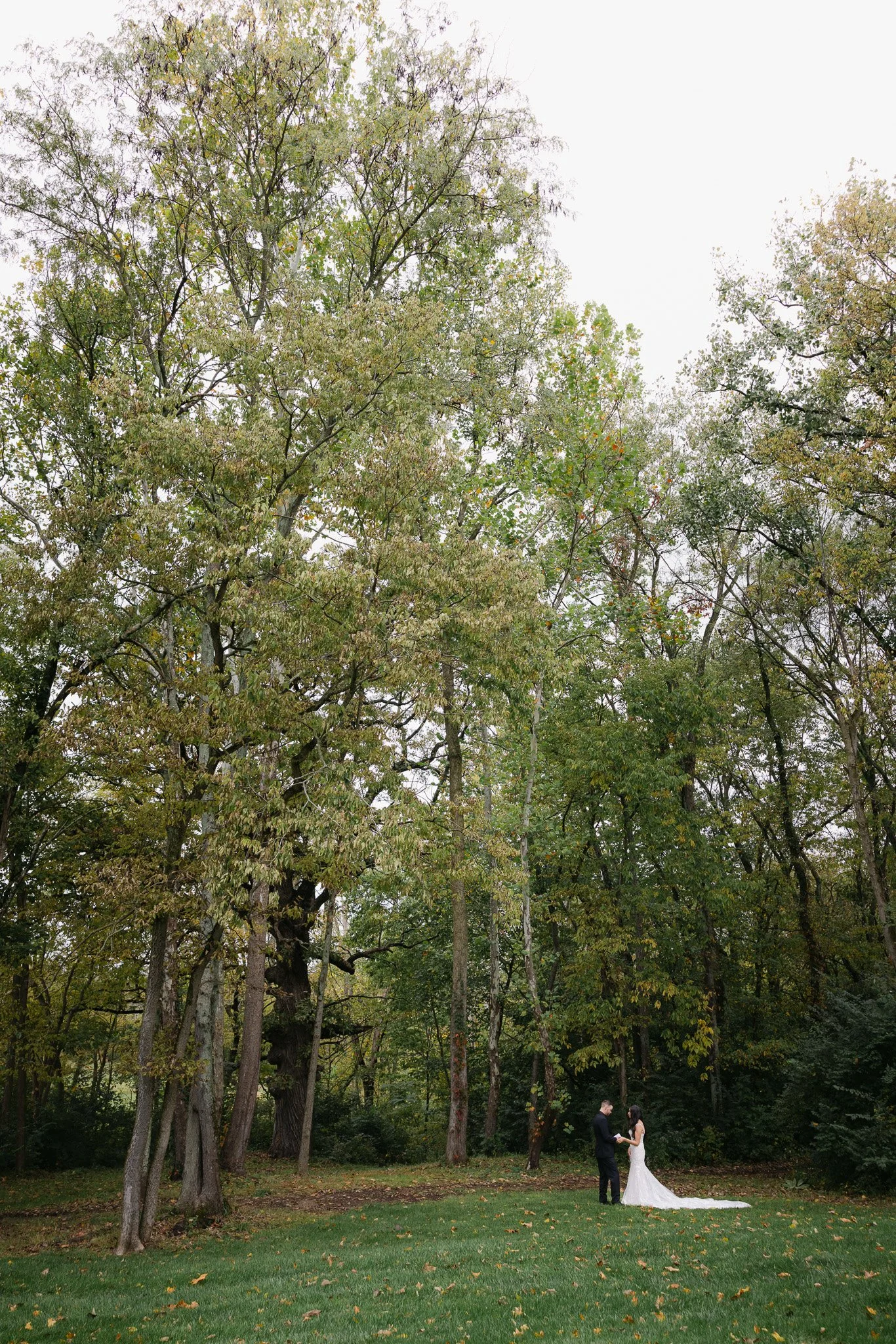 257A6220.jpg