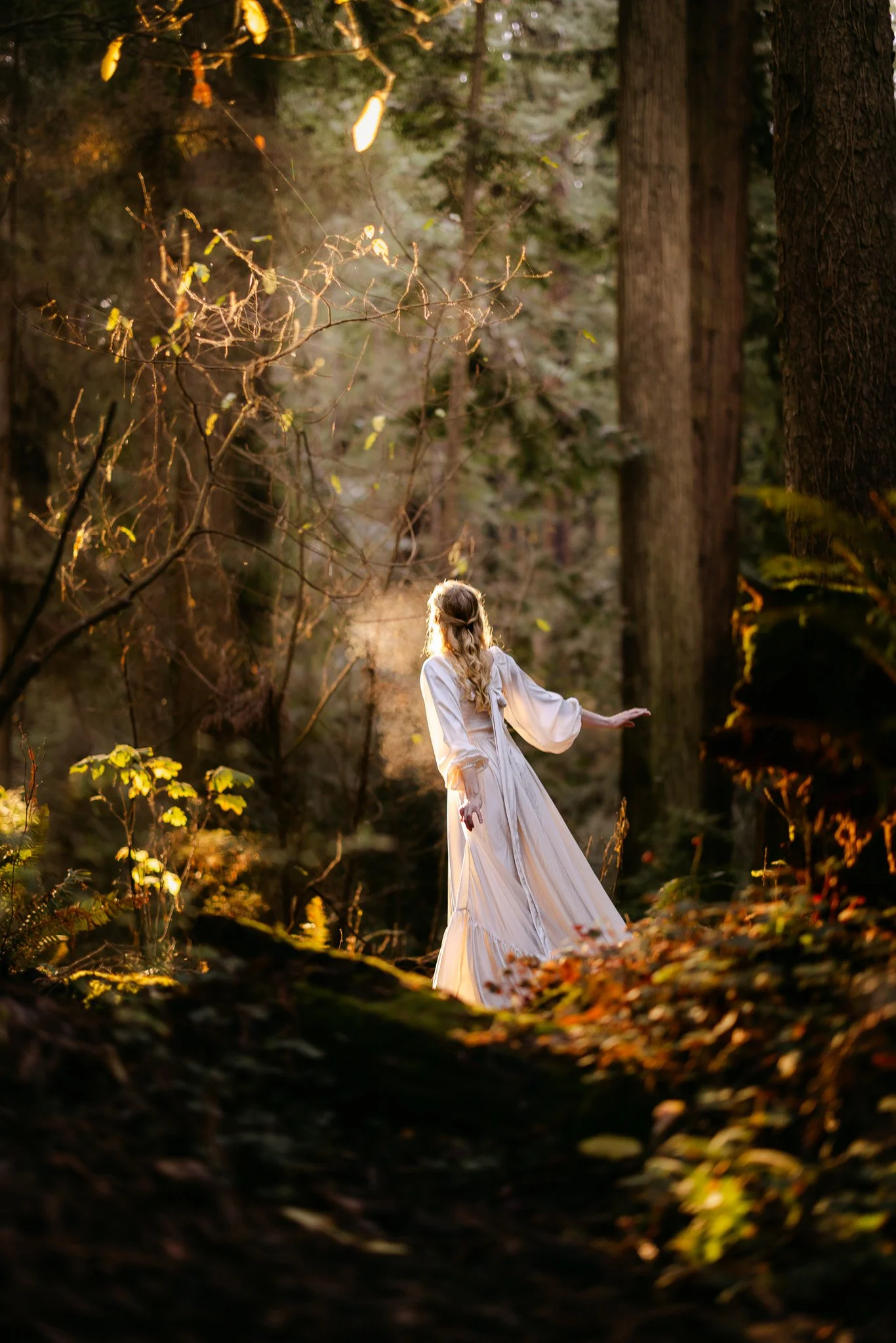 whimsical photo of young woman in a white flowing dress as the sun rises in the redwoods in Humboldt County Northern California bridal romantic inspiring artistic