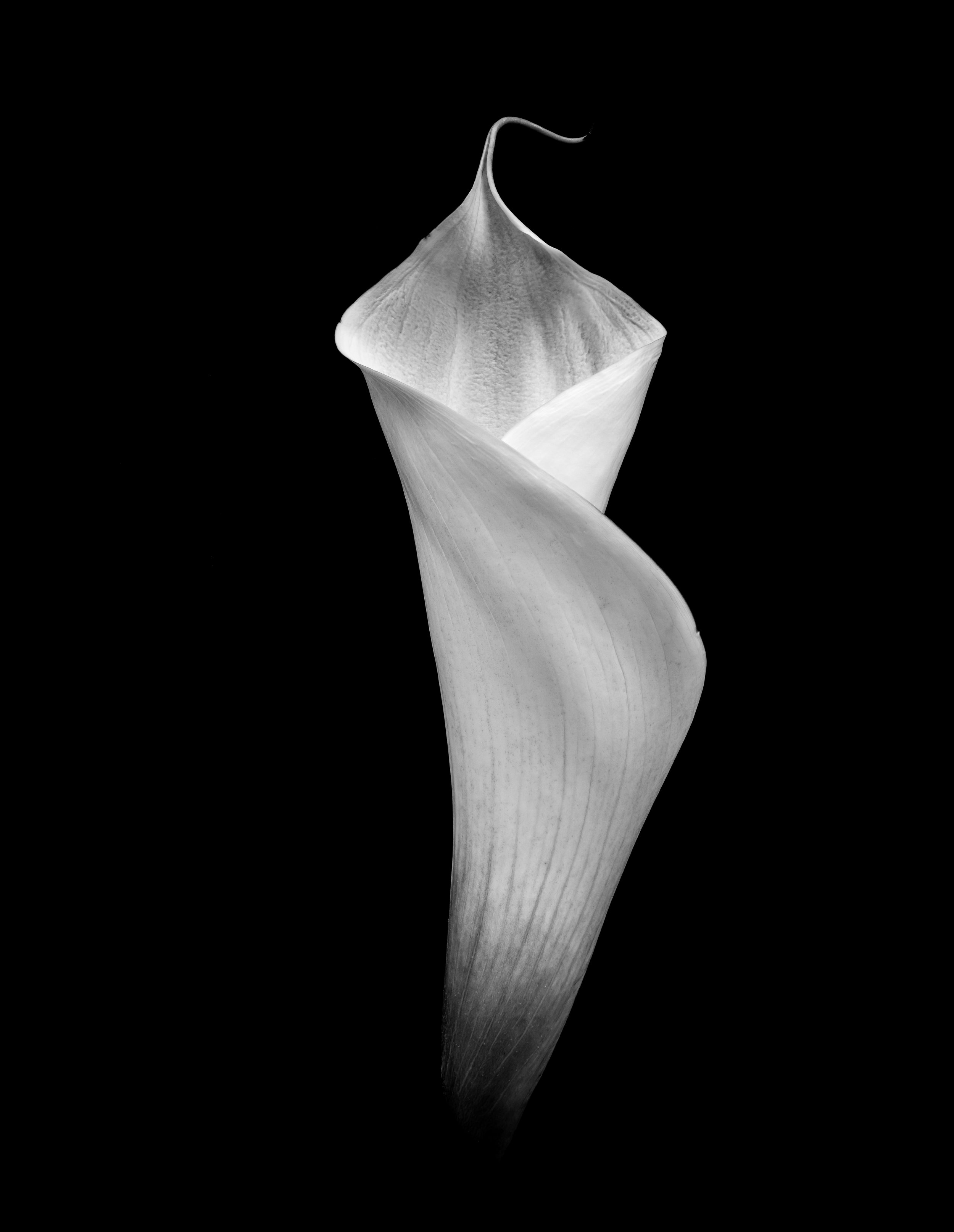 New Year, New Beginnings: Preparing the Body for Fertility and IVF