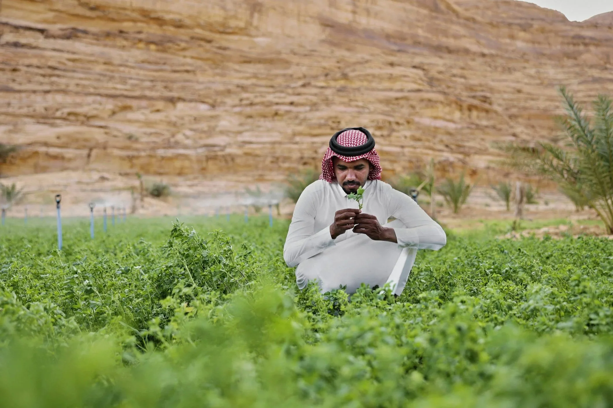 Drought and water resilience: revitalizing our economies, feeding humanity and averting displacement