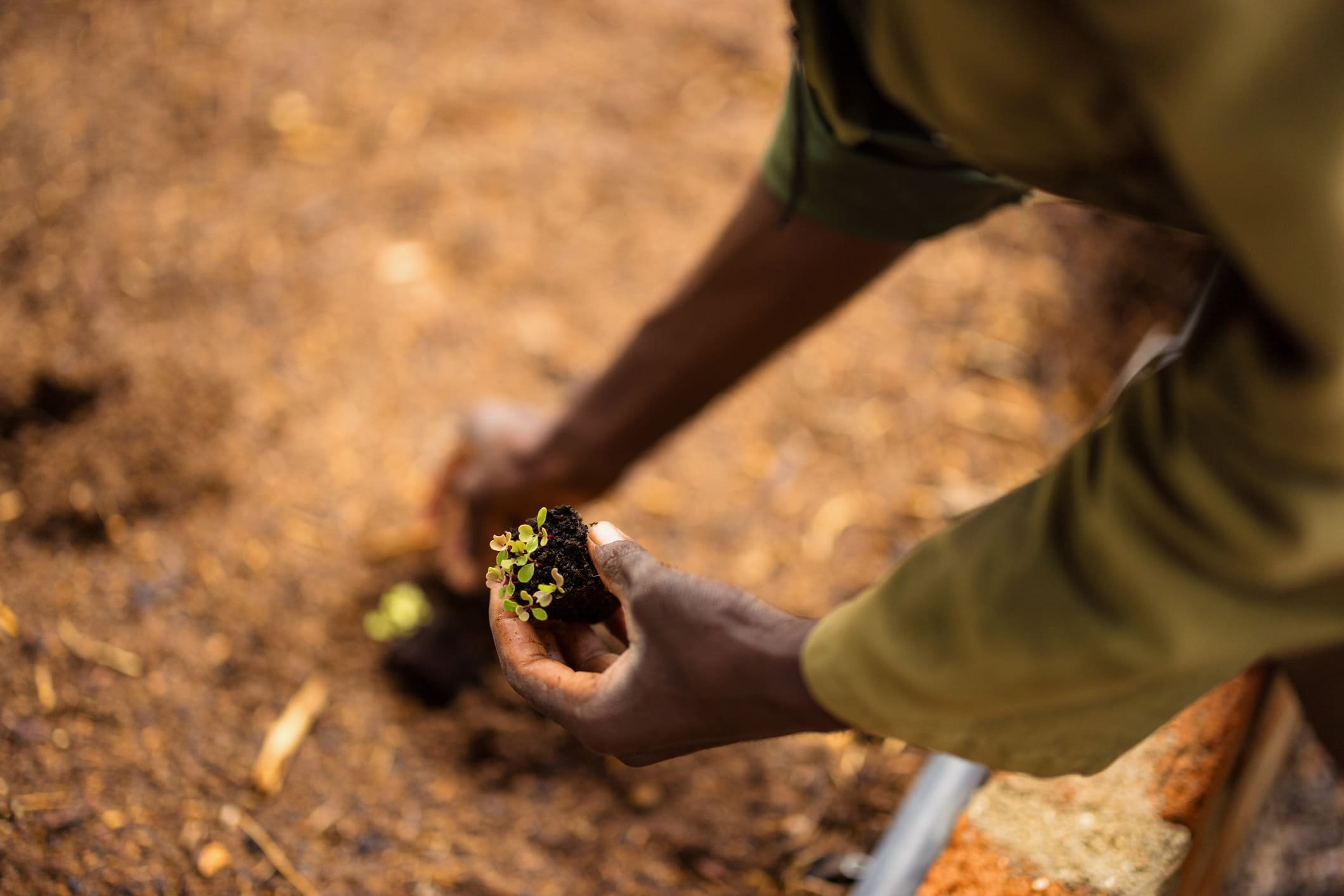 Bridging the gap: Scaling land restoration for 2026