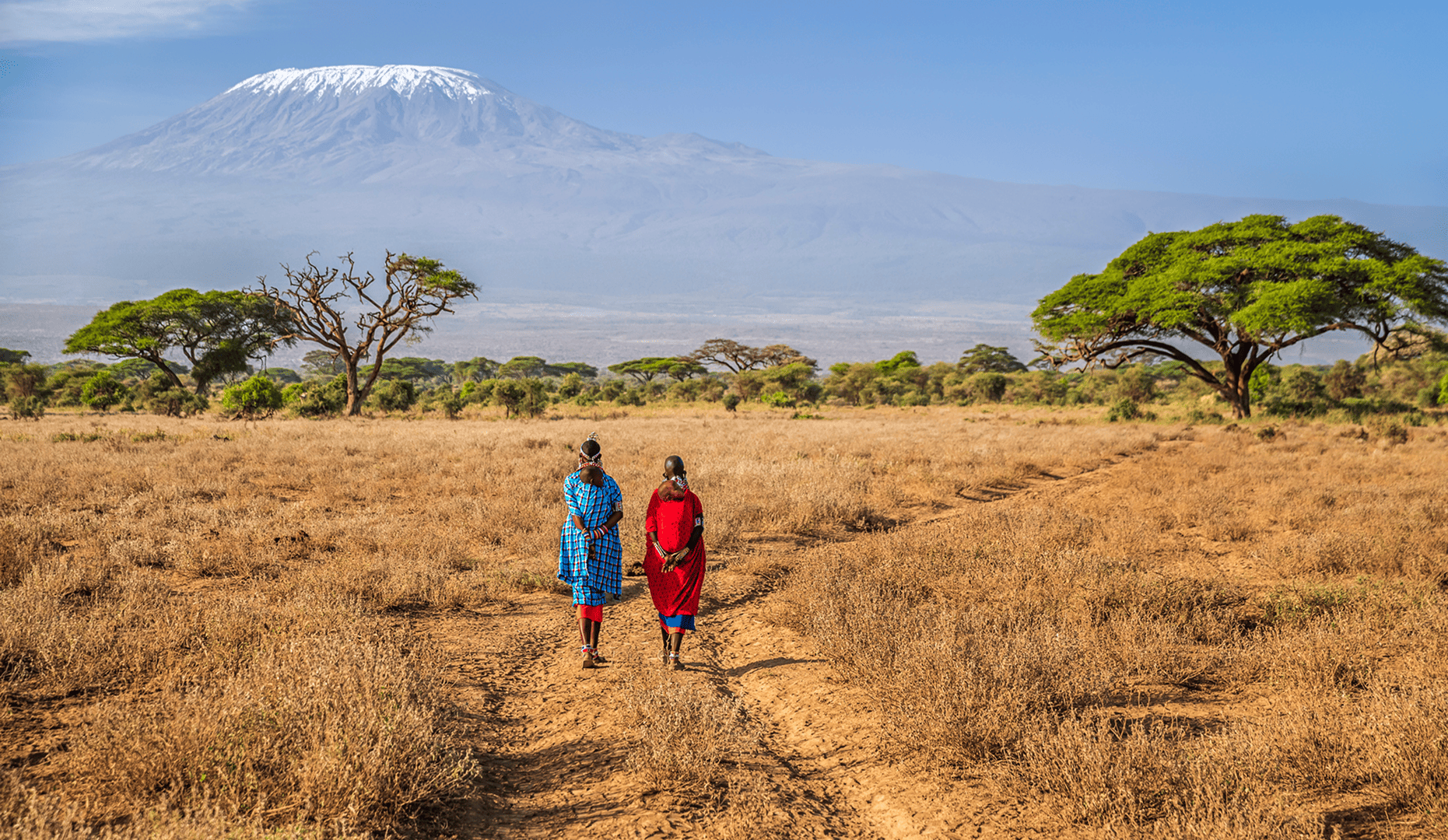 The next critical step for land restoration and drought resilience