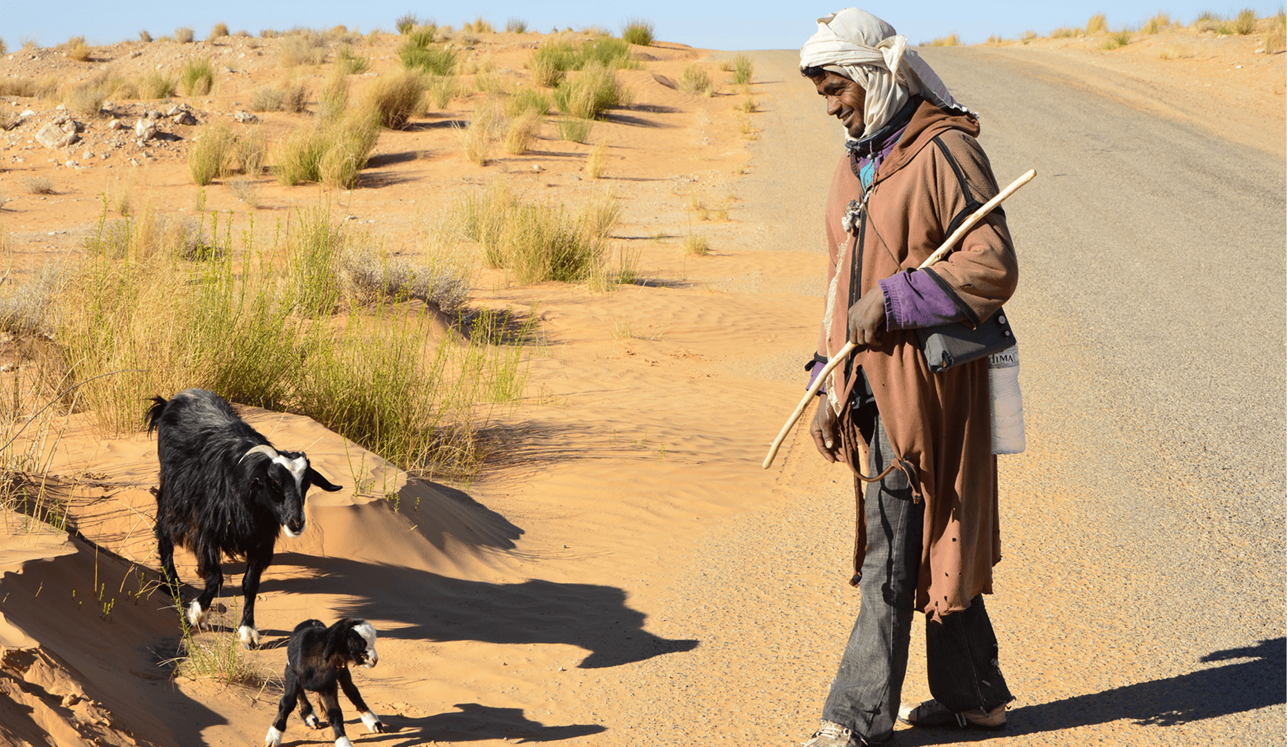 From Riyadh to Ulaanbaatar: civil society sets the terms for COP17 at Djerba