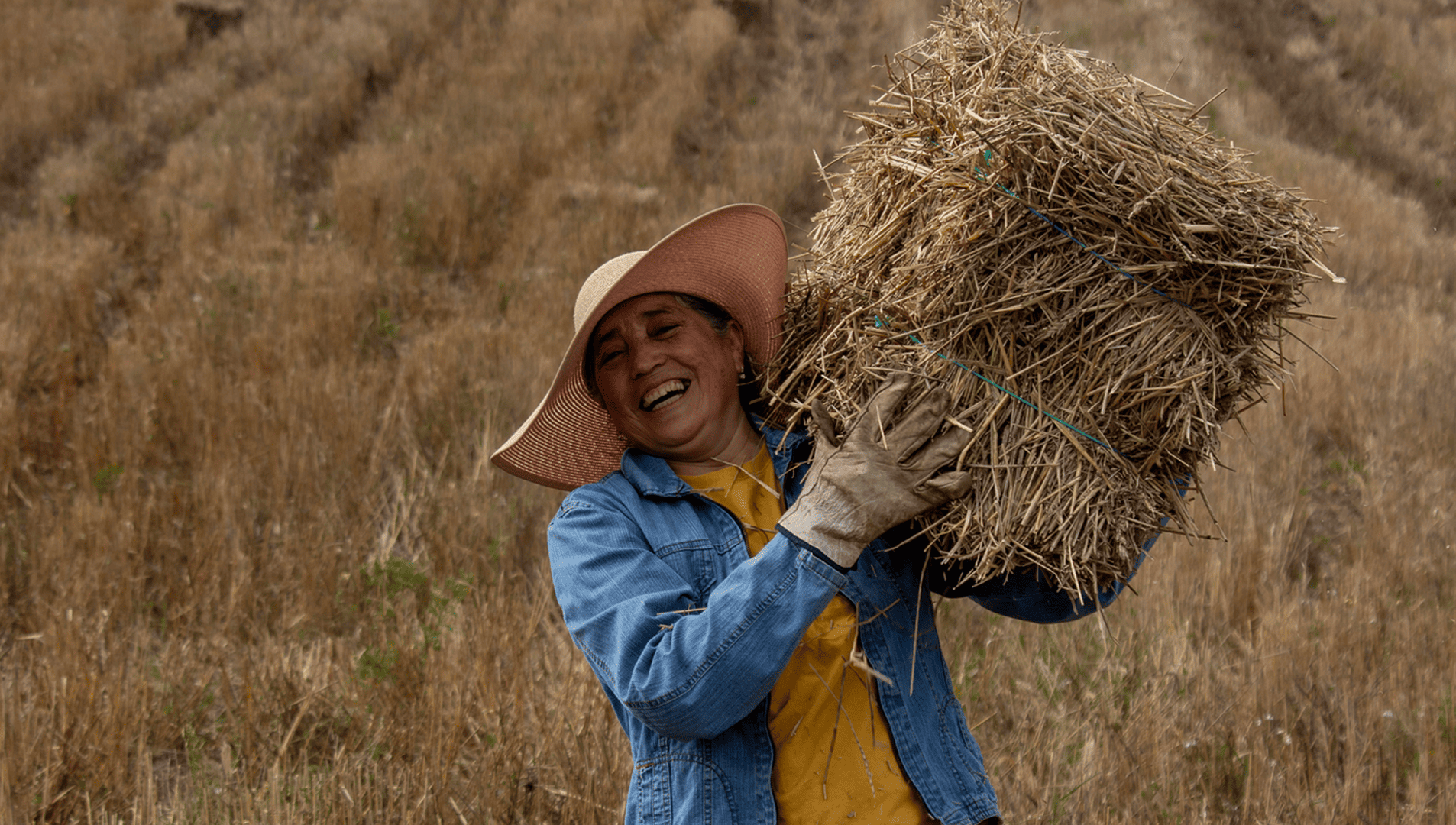 Global security, agricultural land, and the choice before us