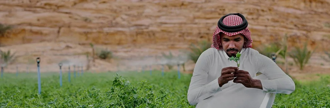 Man holding plant in the desert