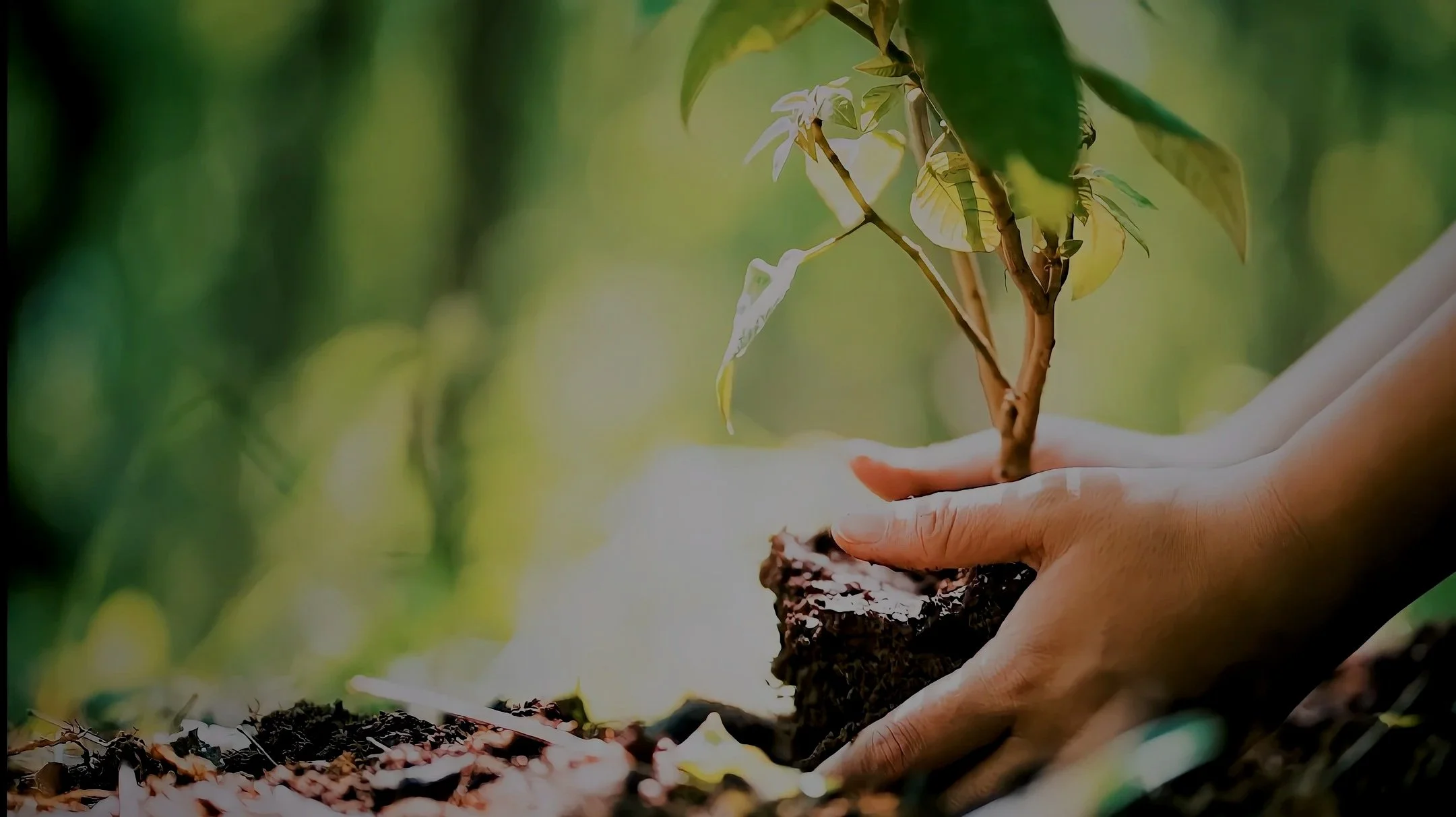 Photo by Ankit Kumar iStock.jpg