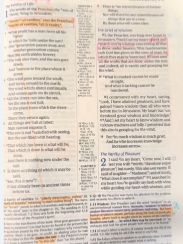 Bible with Brandi – Week 22 Ecclesiastes Chapters 1-2