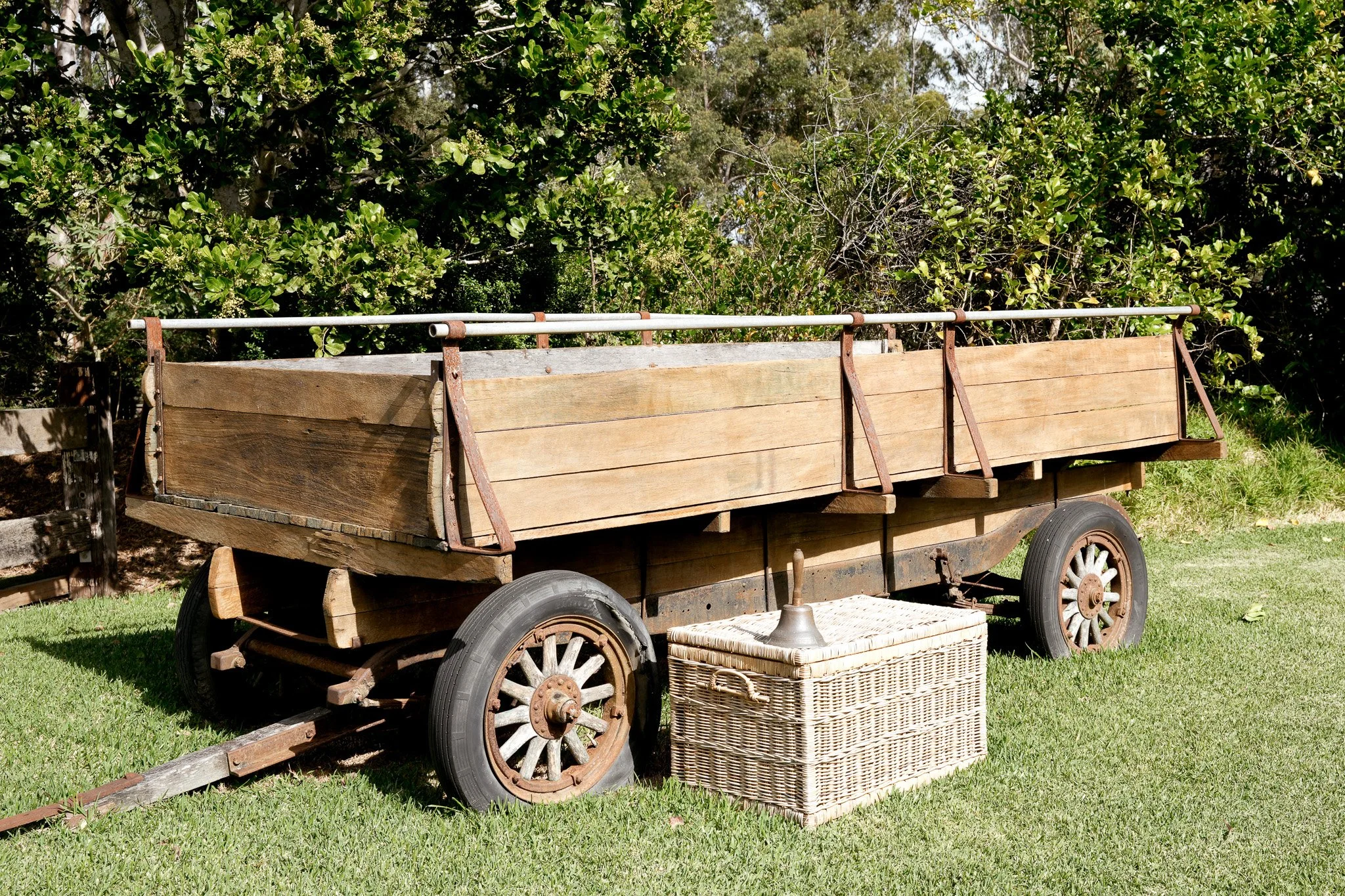 Tezza-4556-2.jpg