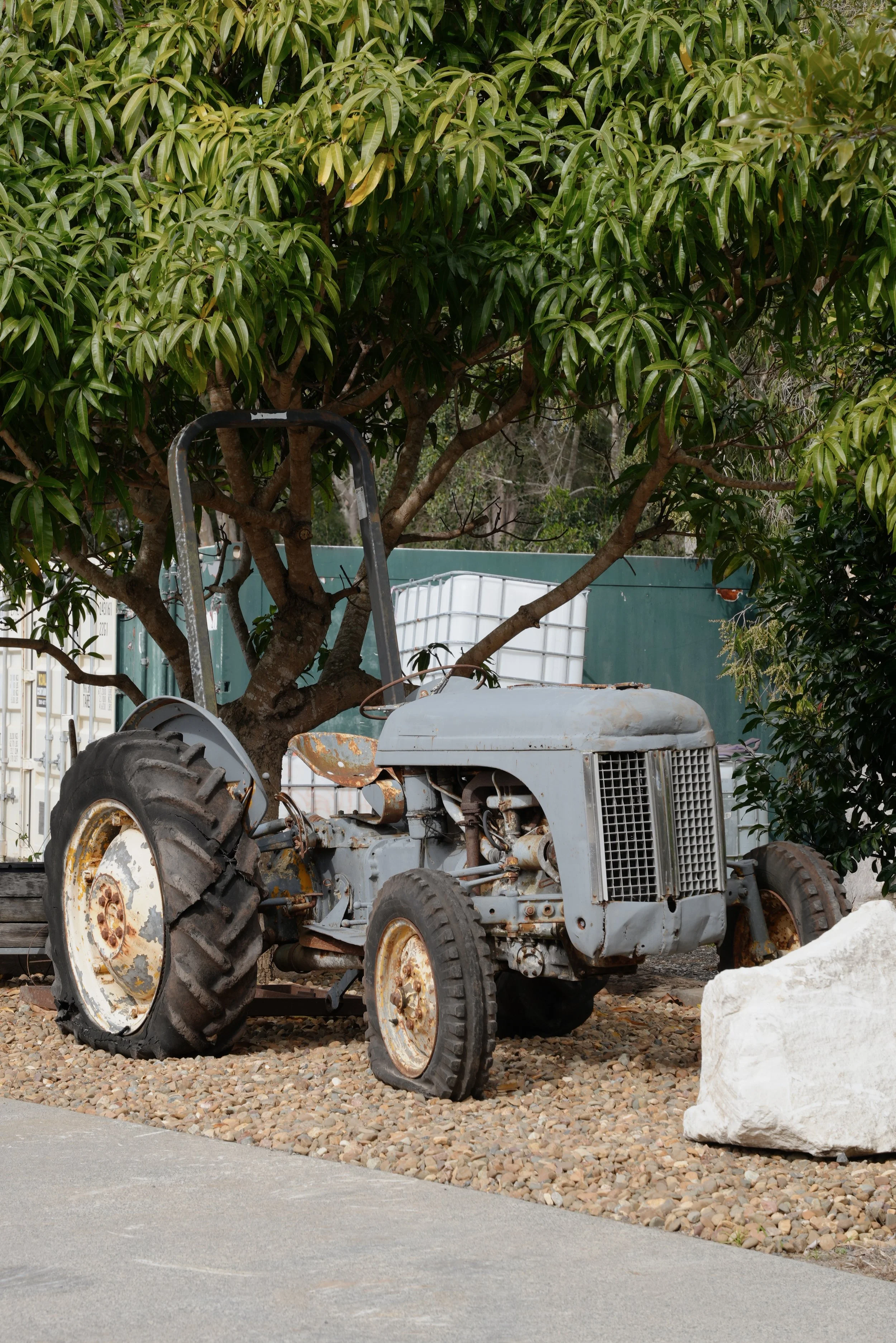 Tezza-1624.JPG