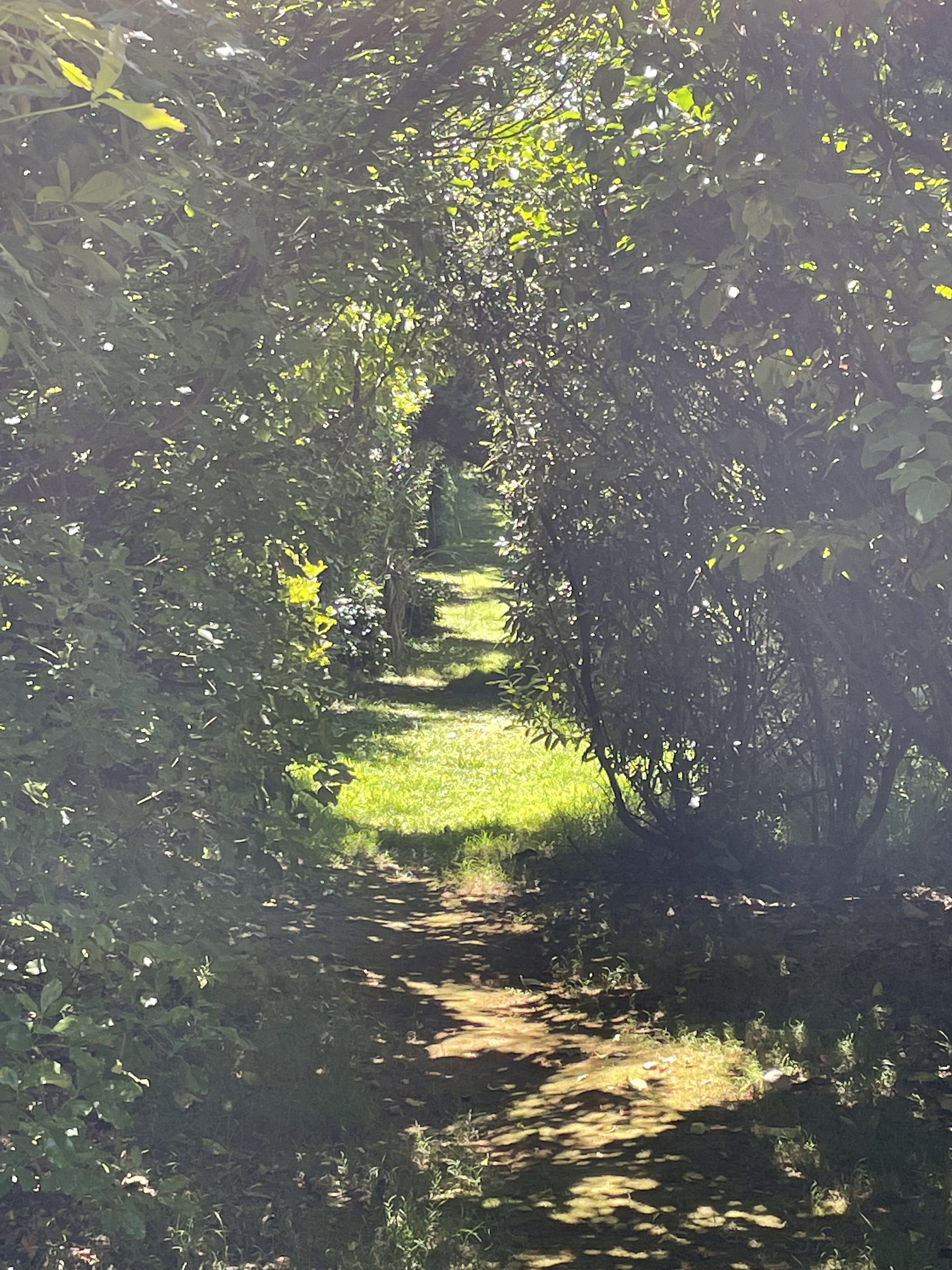 Mindfulness in Nature