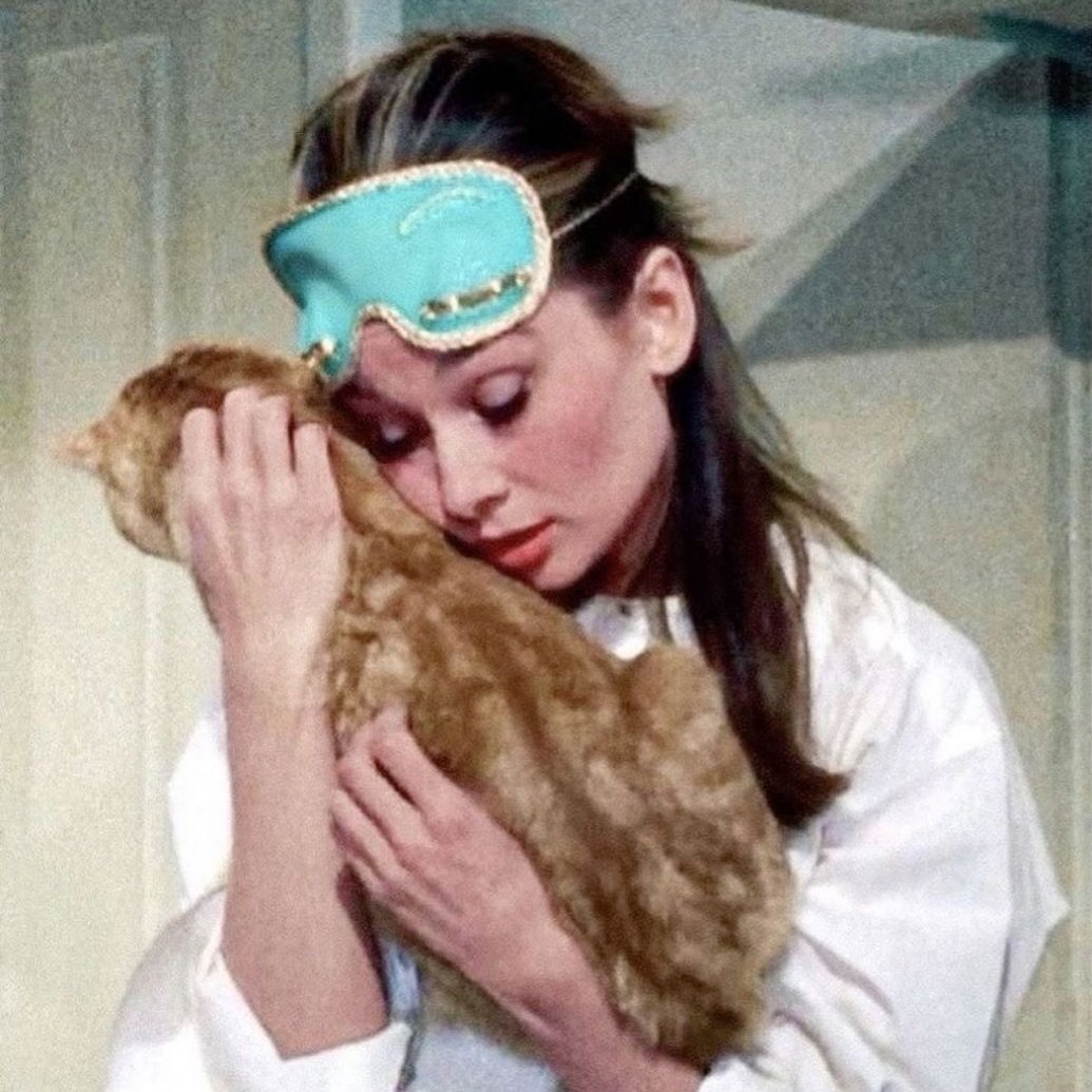 audrey hepburn cat.jpg