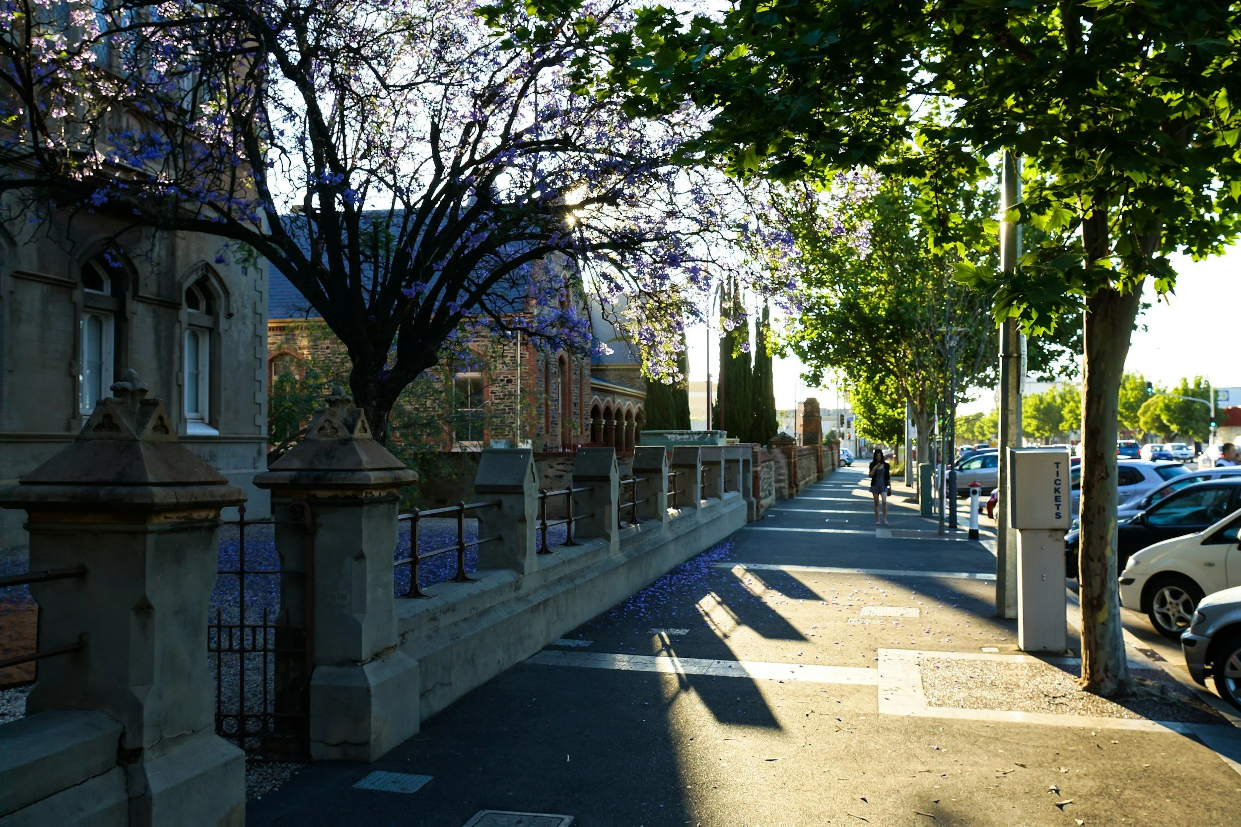 Adelaide property market has seen some gains in early 2026 driving reasons to get your certified property valuation.