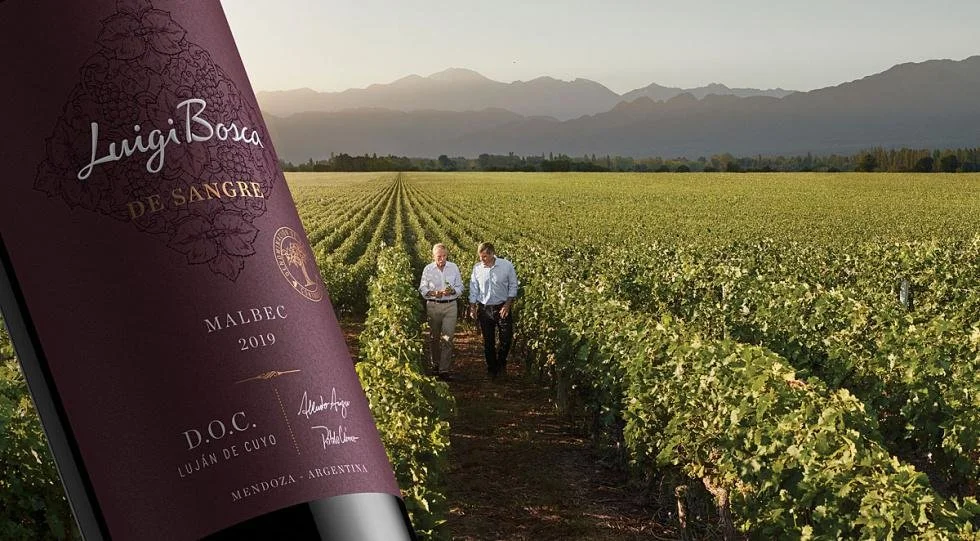 Luigi Boasca wine dinner