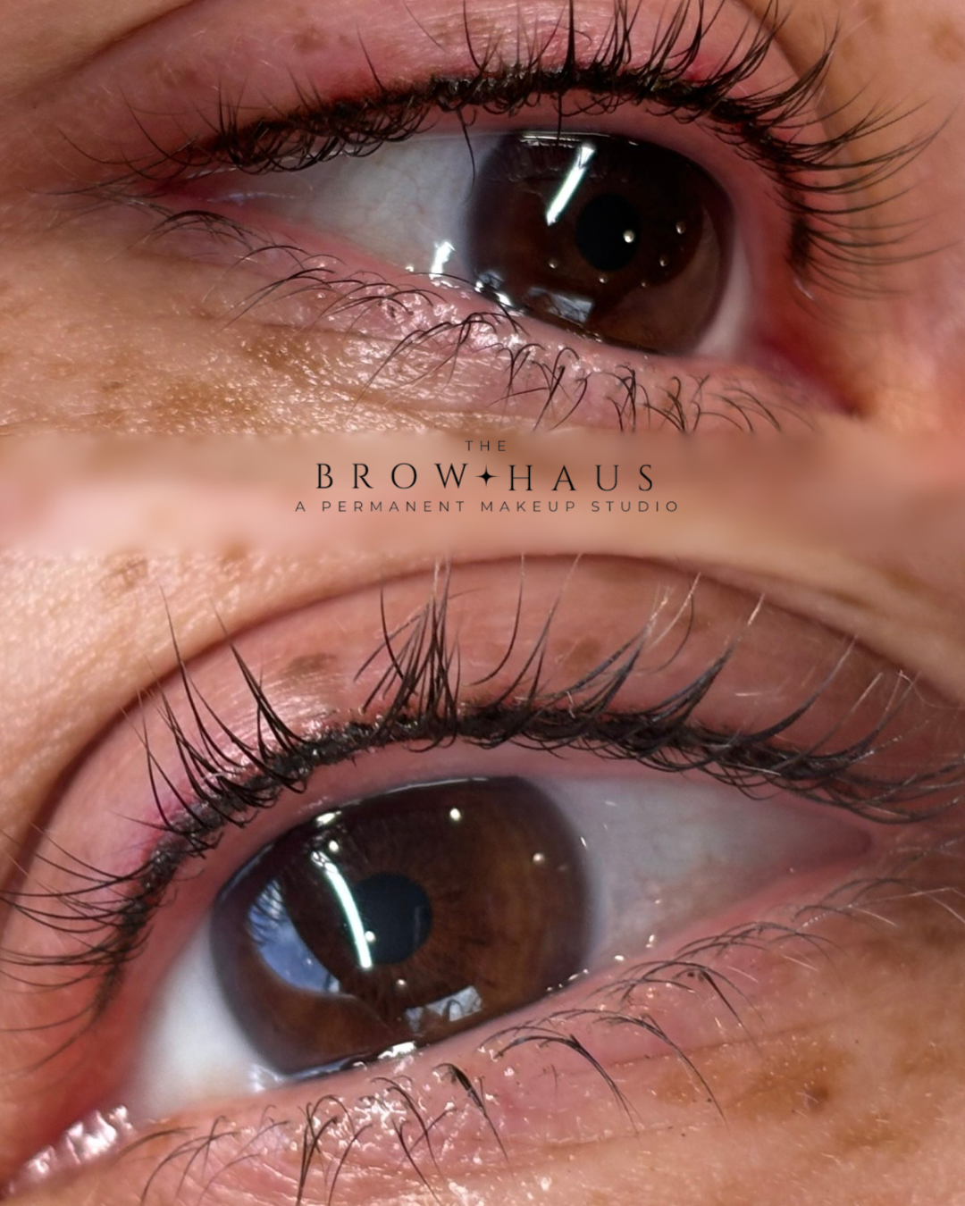 close up of woman's eyeliner brown eyes with thin upper black eyeliner