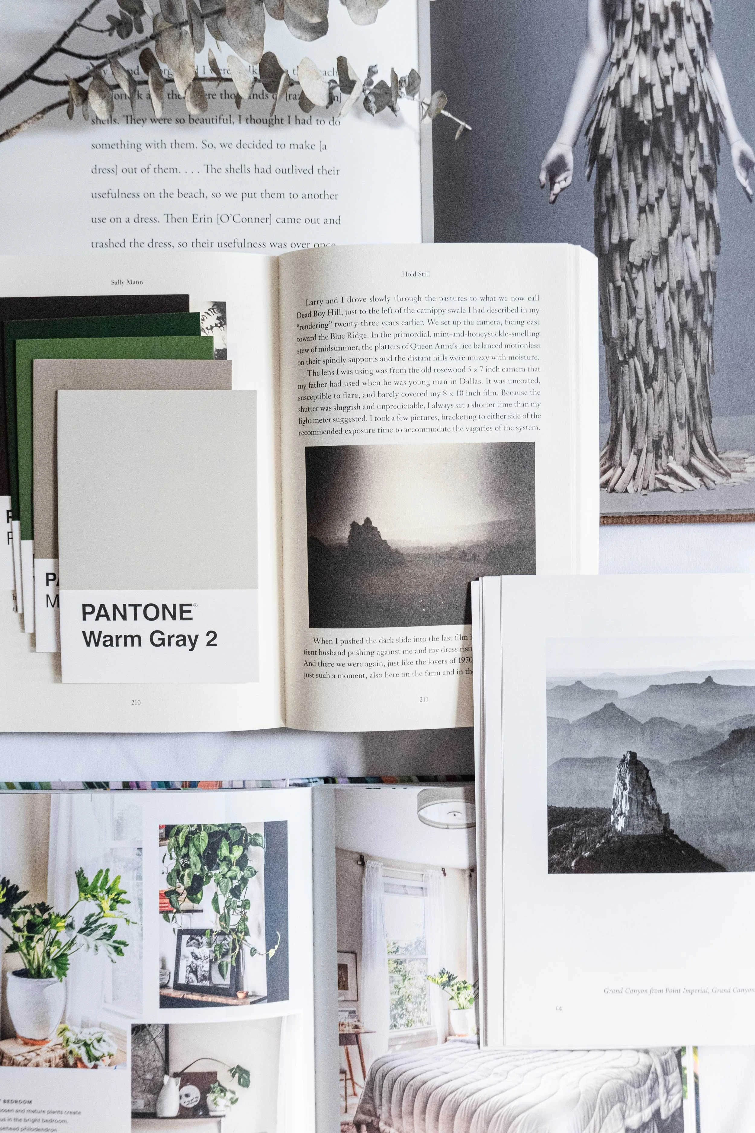 Open books on photography and design, surrounded by color swatches, with a black and white photograph of a mountain landscape.