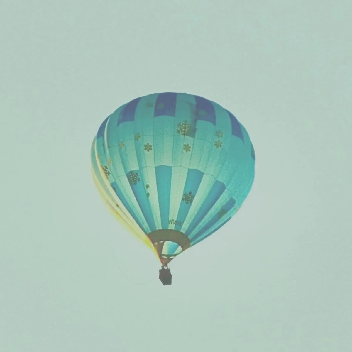 Fun Fact colores.jpg