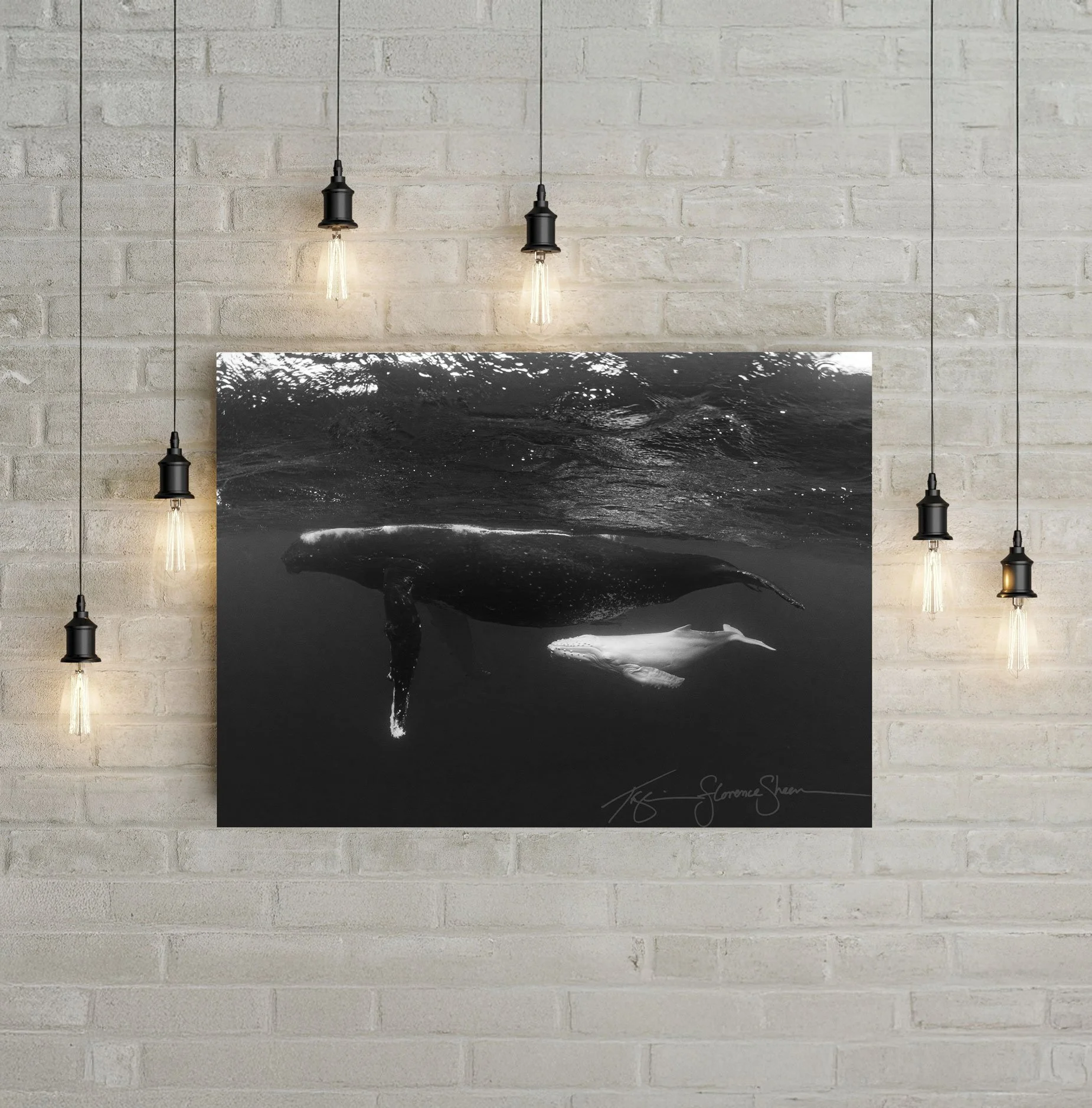 Depositphotos_63418009_XLby-my-side-in-situ.jpg