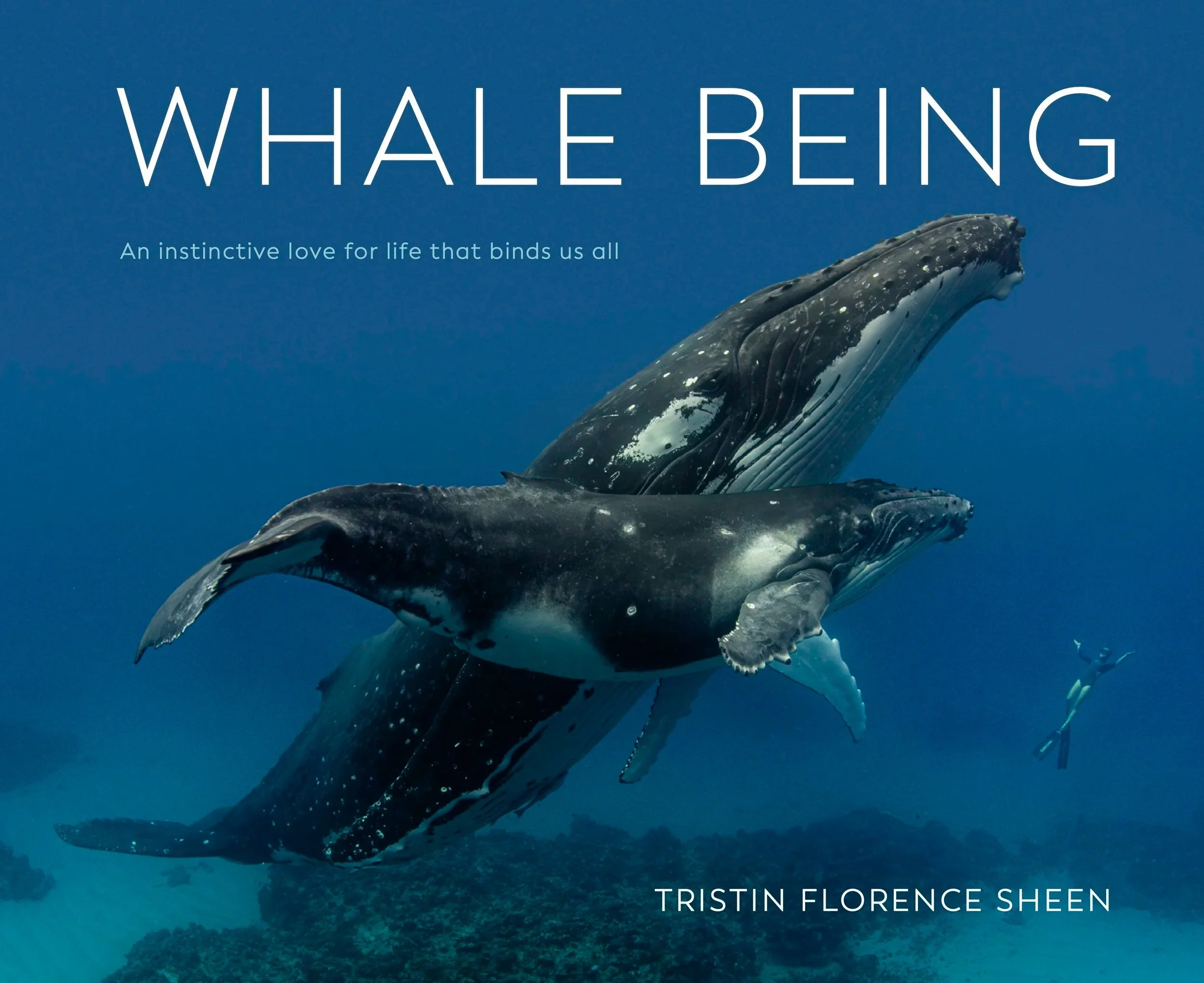 Whale Being