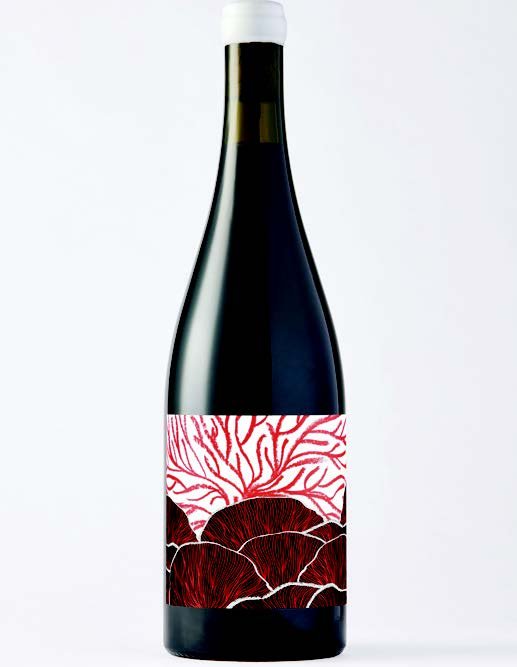 'House Wine' 2024 Pinot Noir