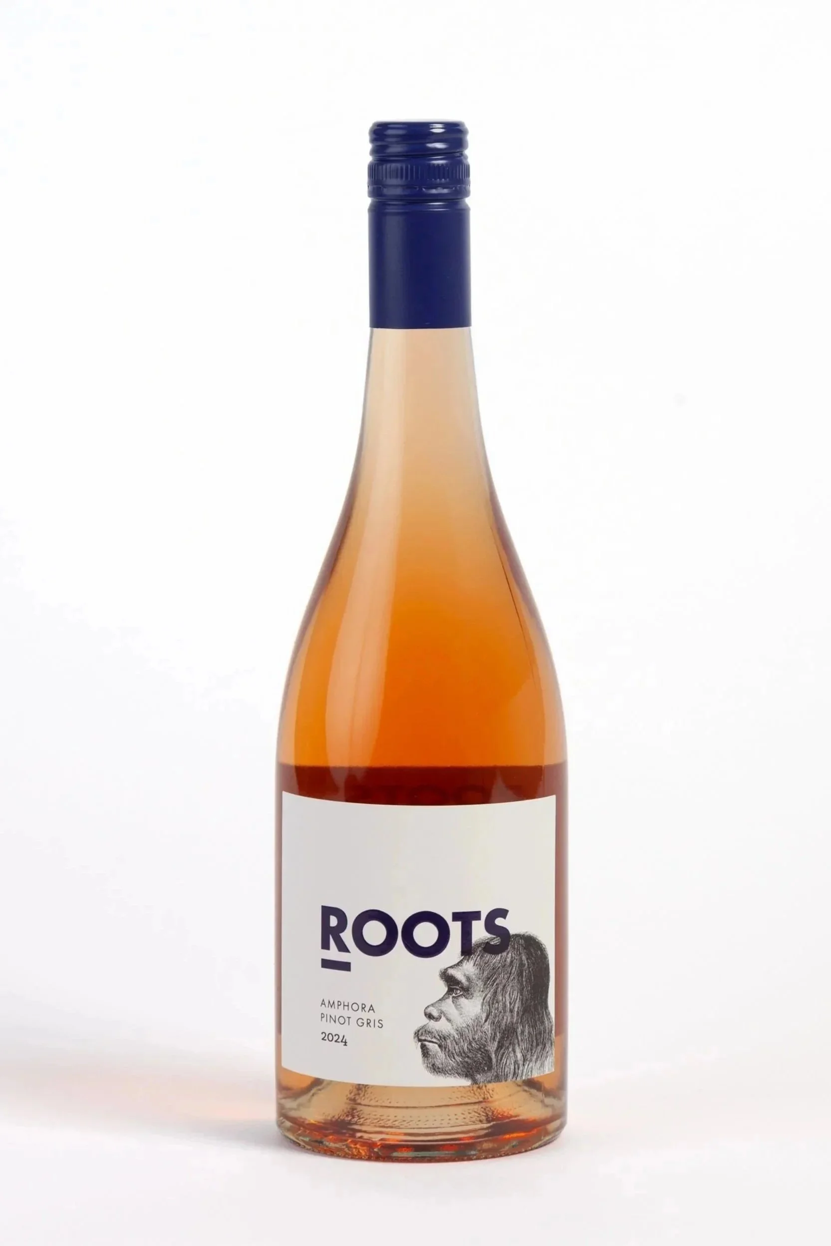 Amphora Pinot Gris 2024