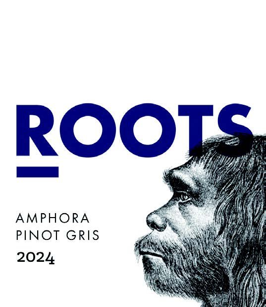 Amphora Pinot Gris 2024
