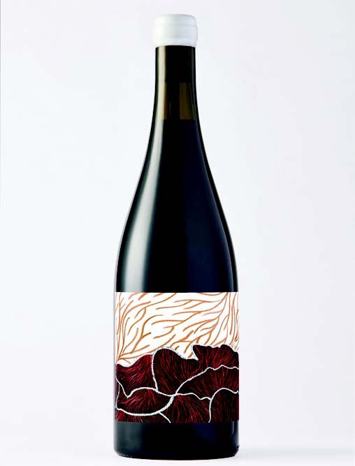 FP 2024 Shiraz.jpeg