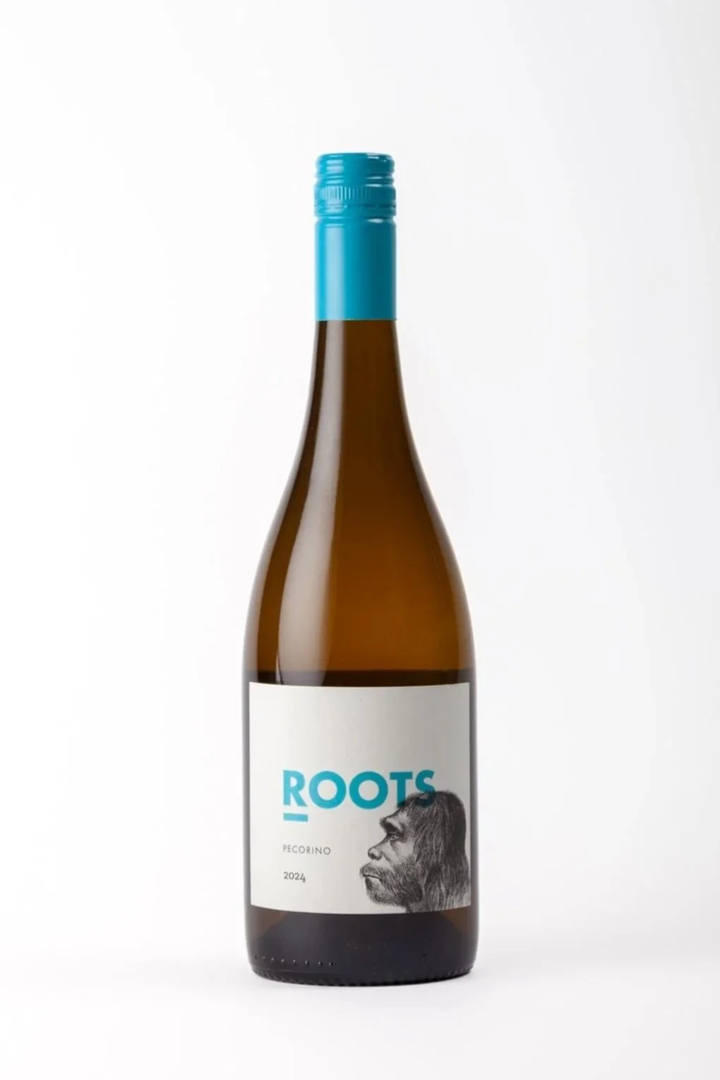Pecorino 2024