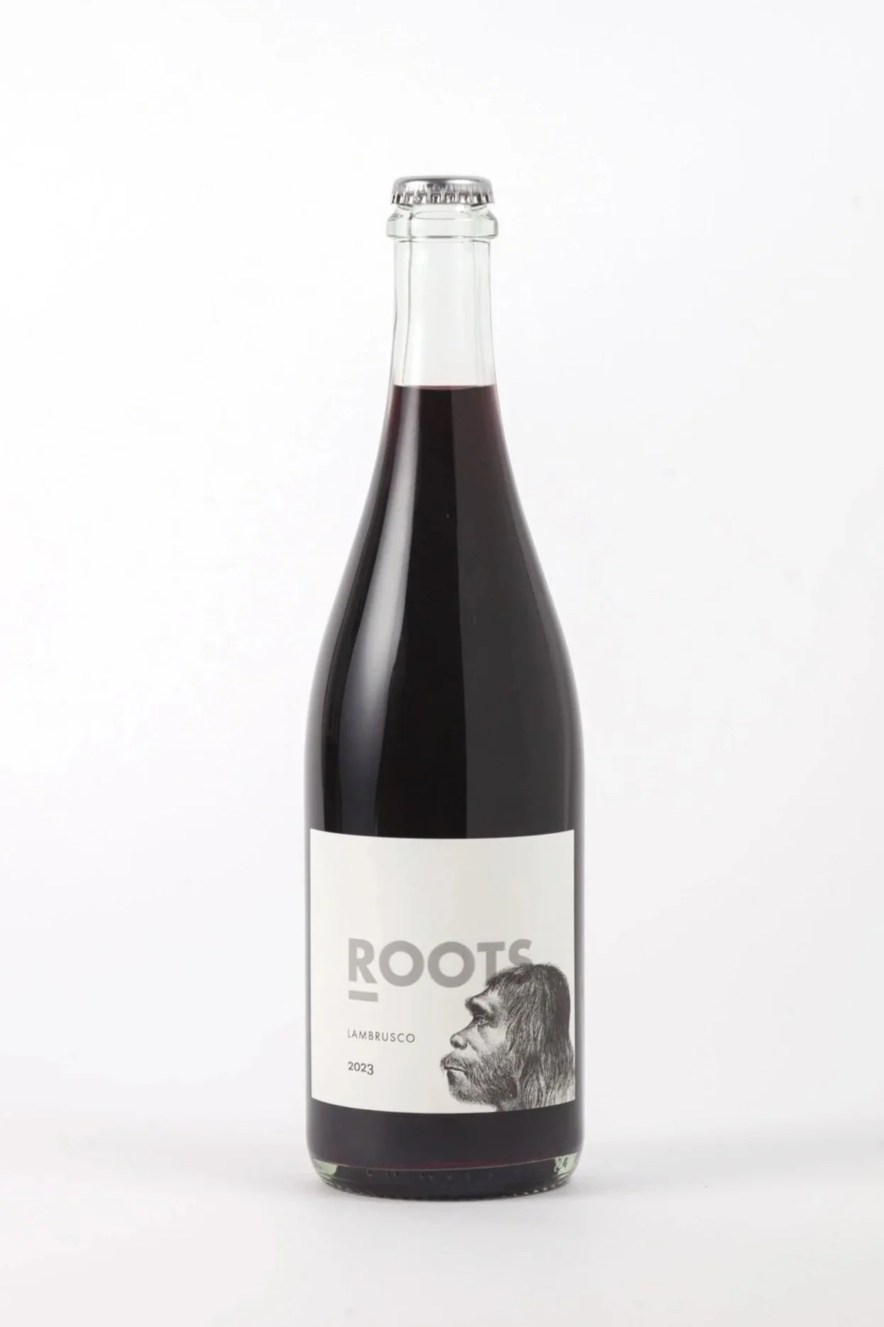 Lambrusco 2023