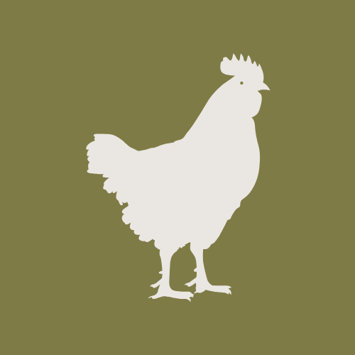 Chicken | Raw Pet Food