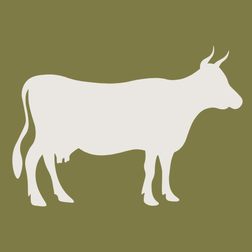 Beef | Raw Pet Food