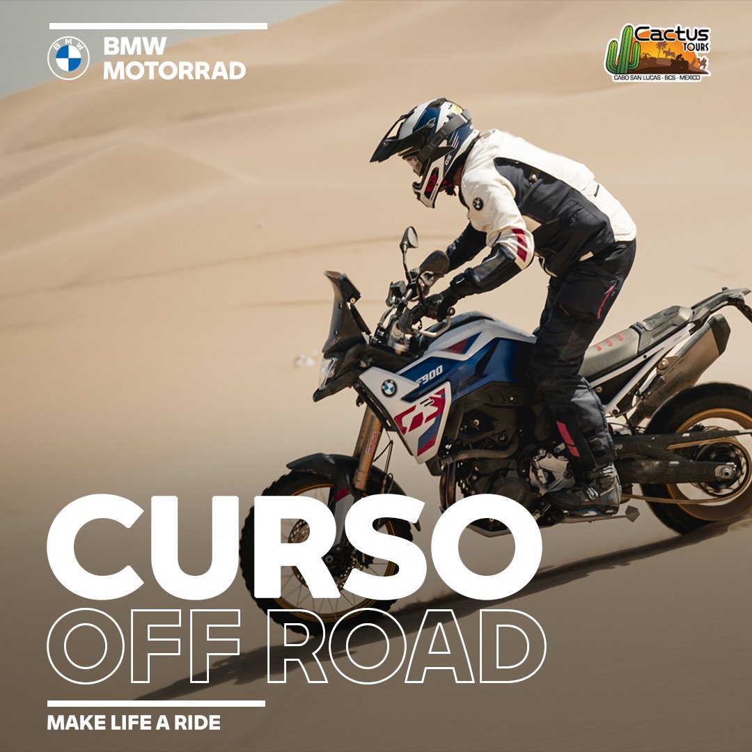 Cover 11.jpg
