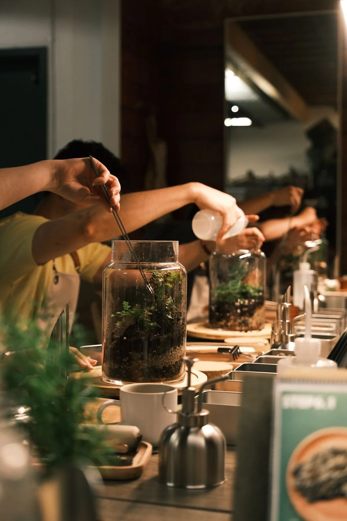Plants After Dark: A Terrarium Experience