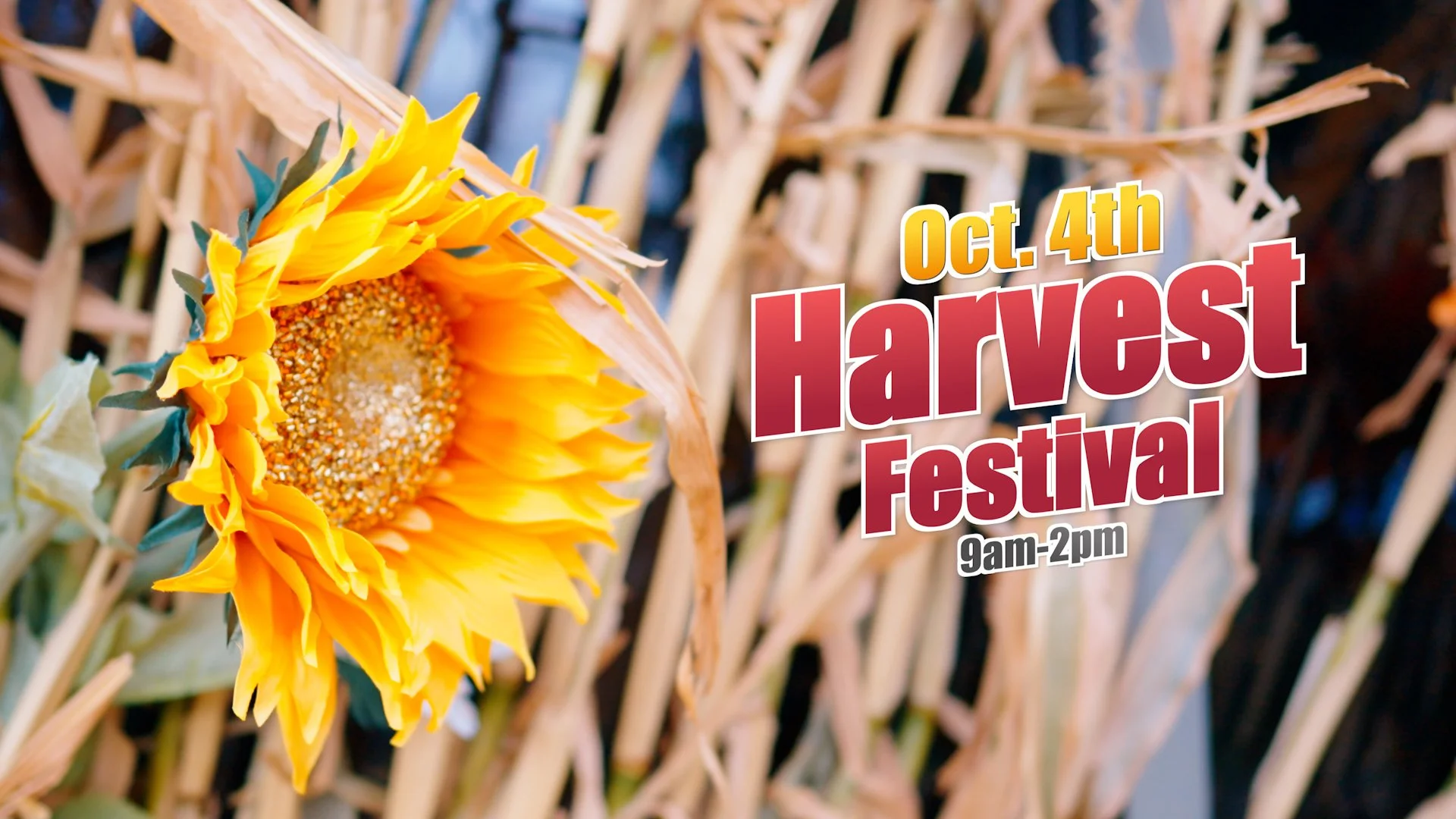 Harvest Festival