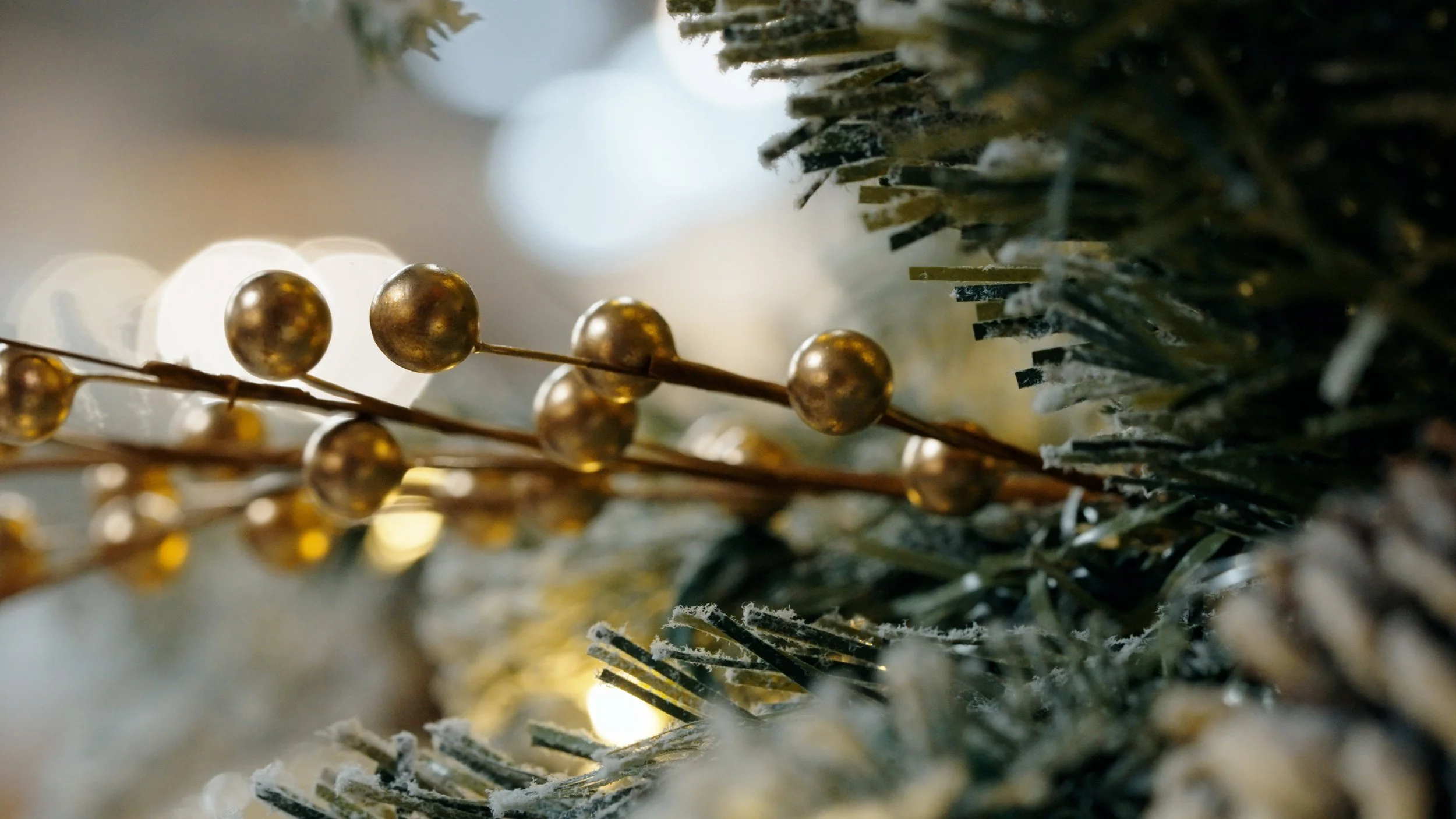 givingtree3.jpg