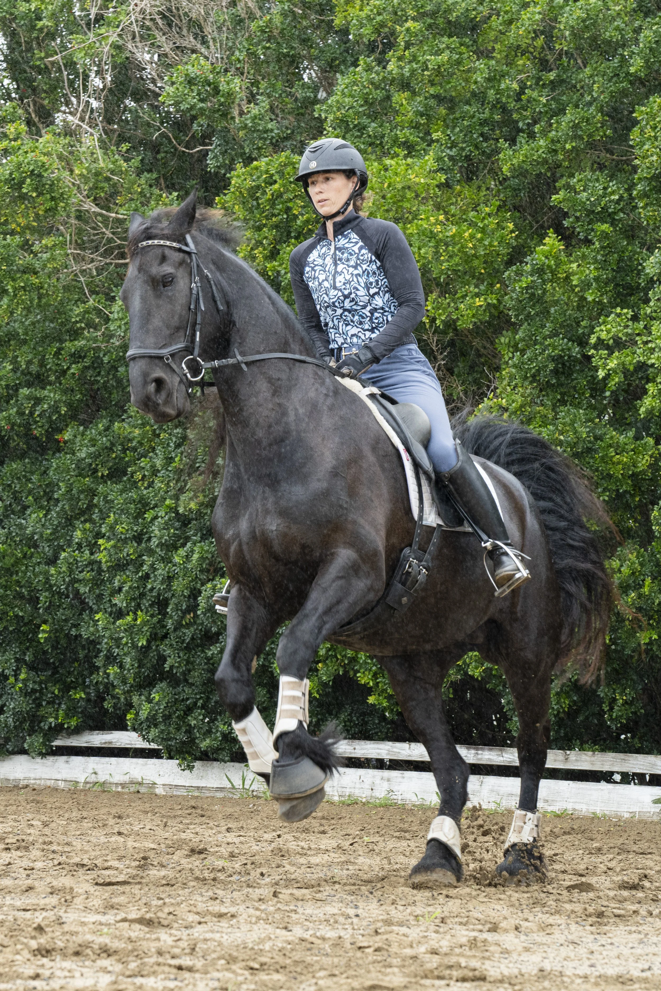 Canter Transition Success!