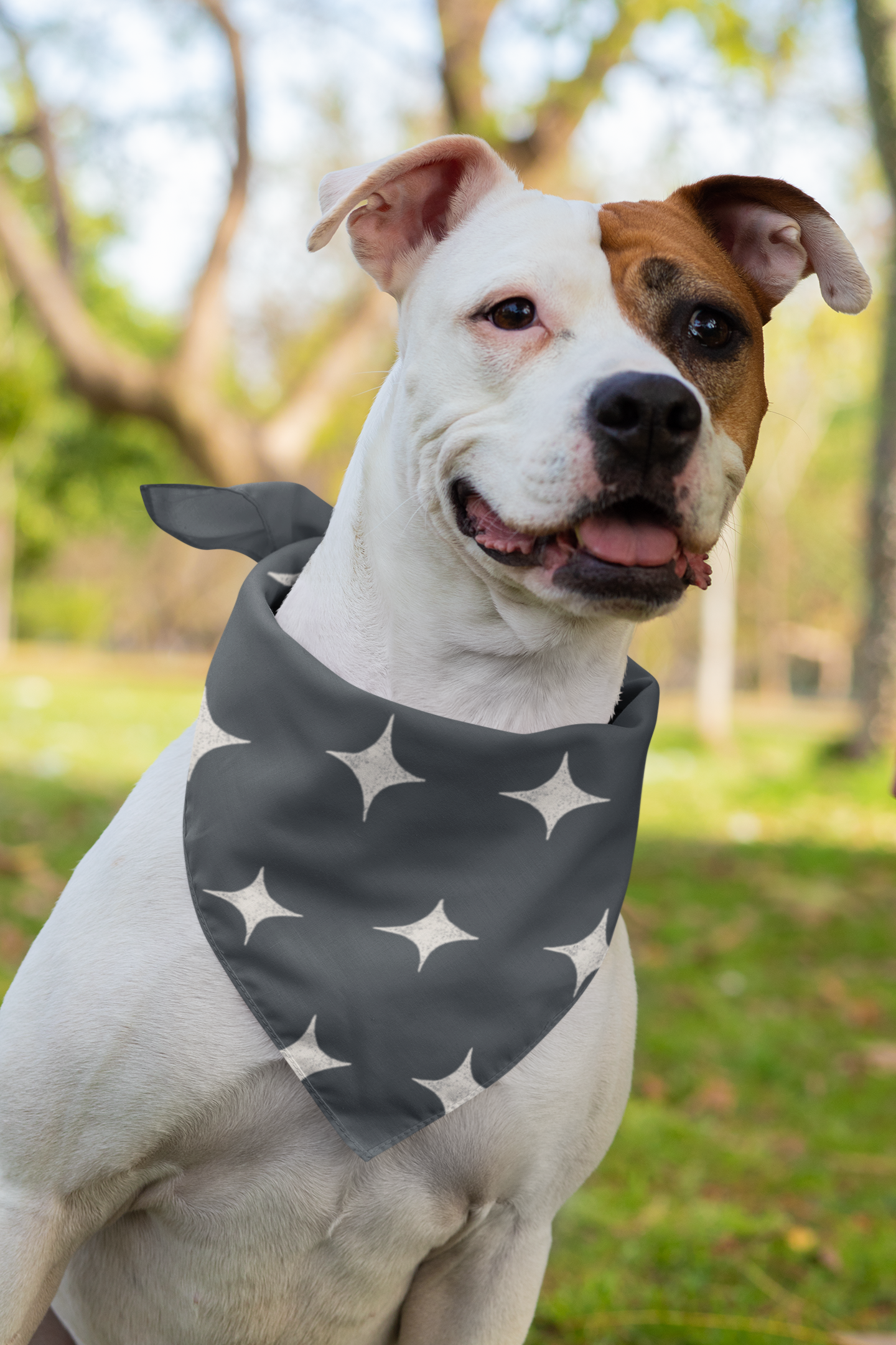 sublimated-bandana-mockup-featuring-a-dog-33282.png