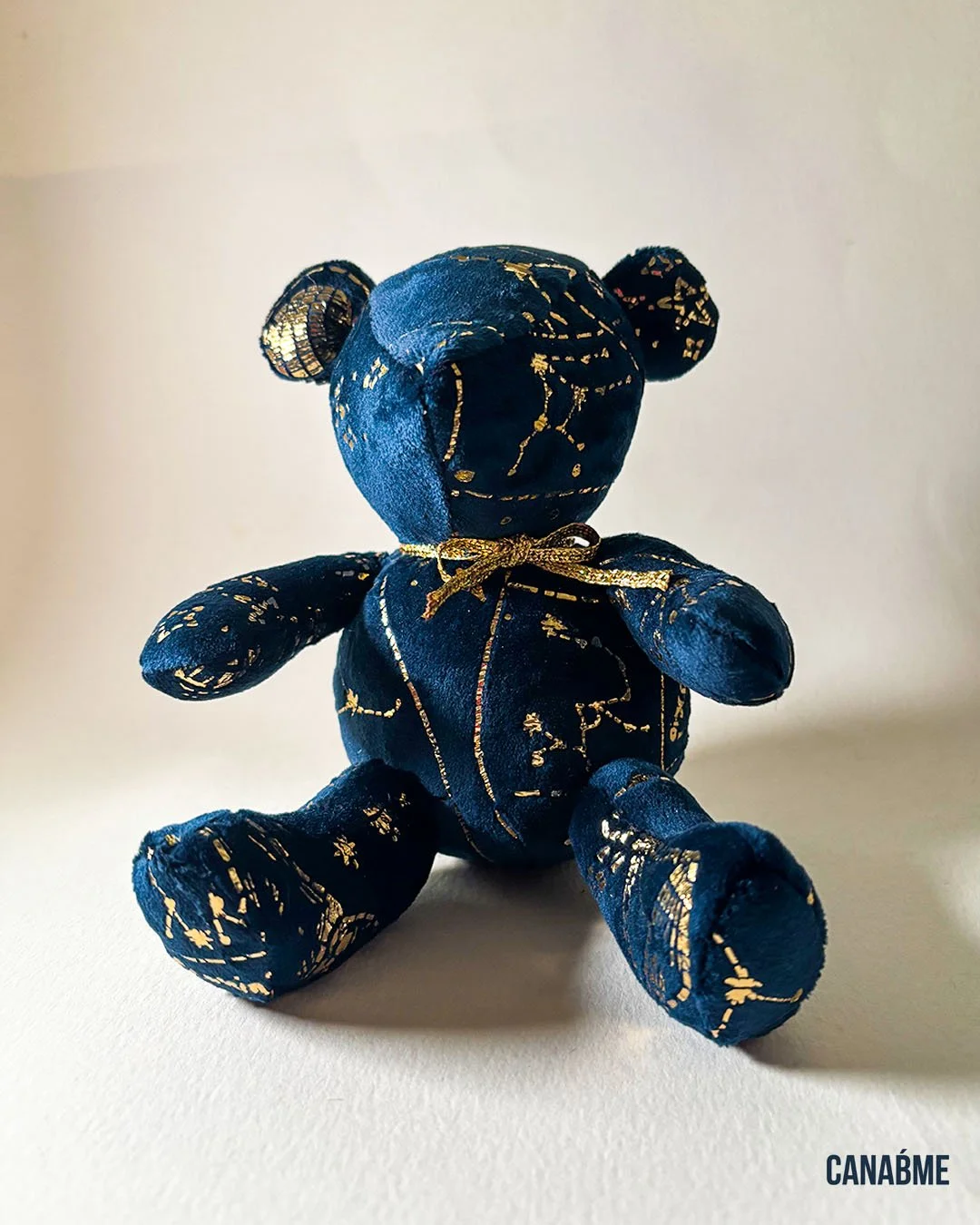 Bearry Starry_12.jpg