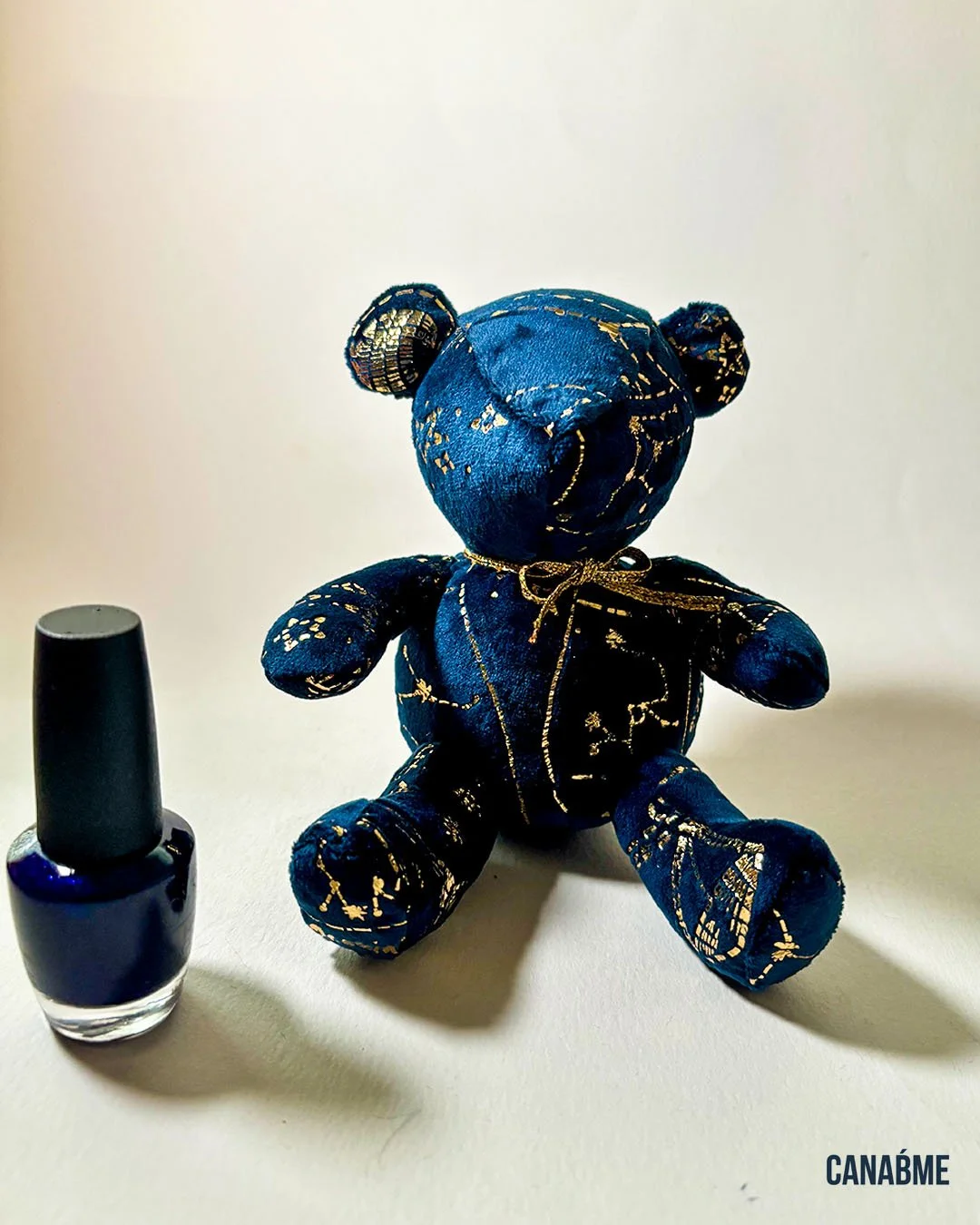 Bearry Starry_10.jpg