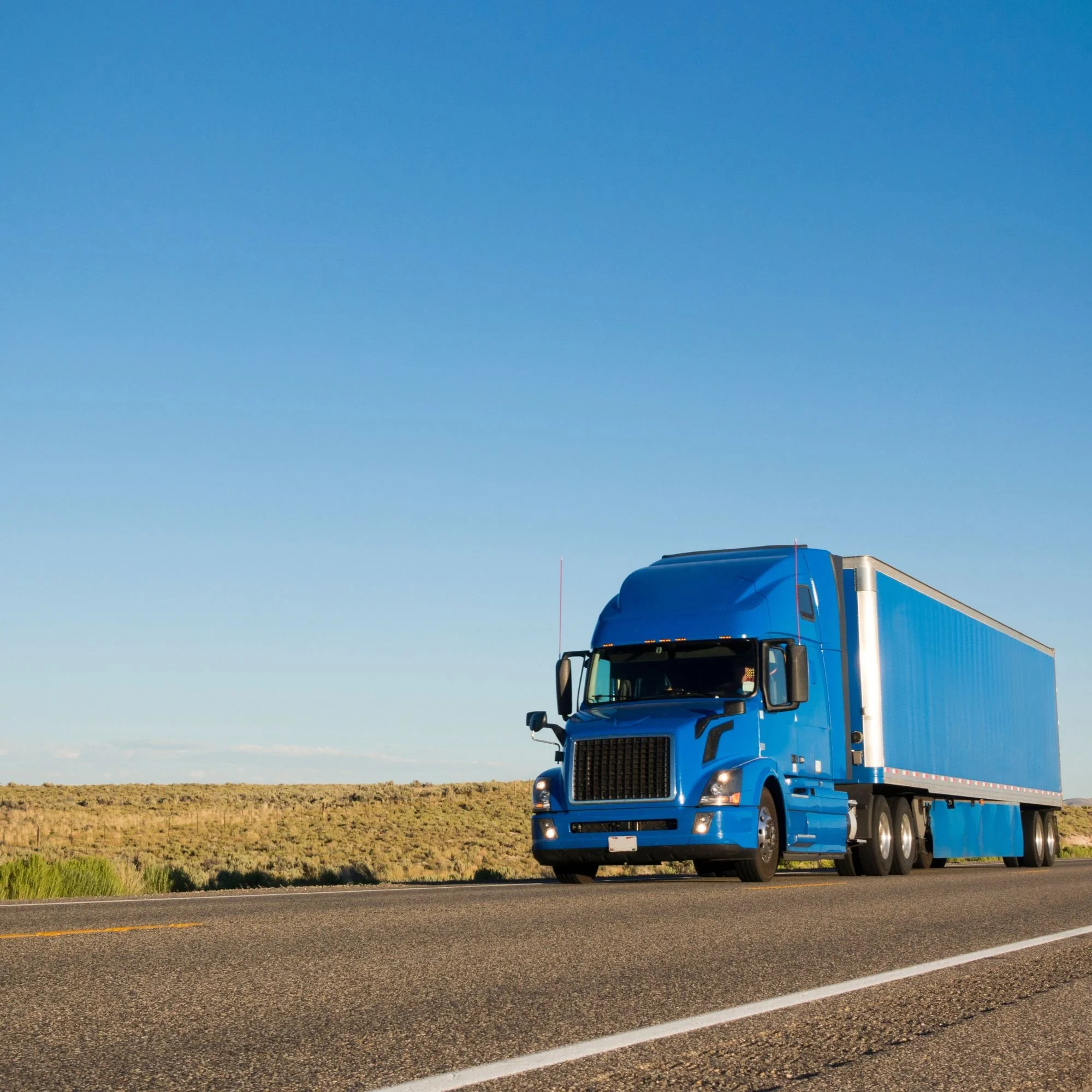 On-demand data, right at your fingertips