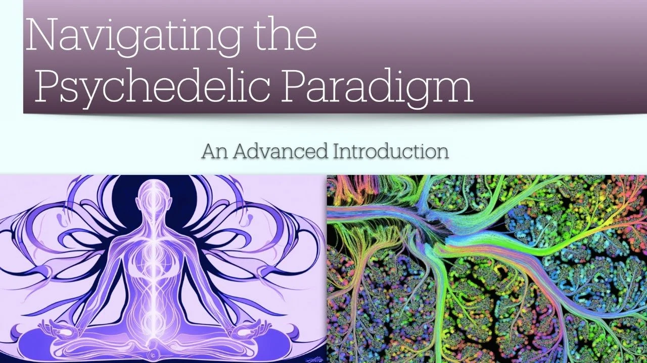 Navigating The Psychedelic Paradigm 2 Day Course - Melbourne