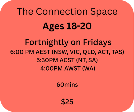 The Connection Space - autistic social connection group