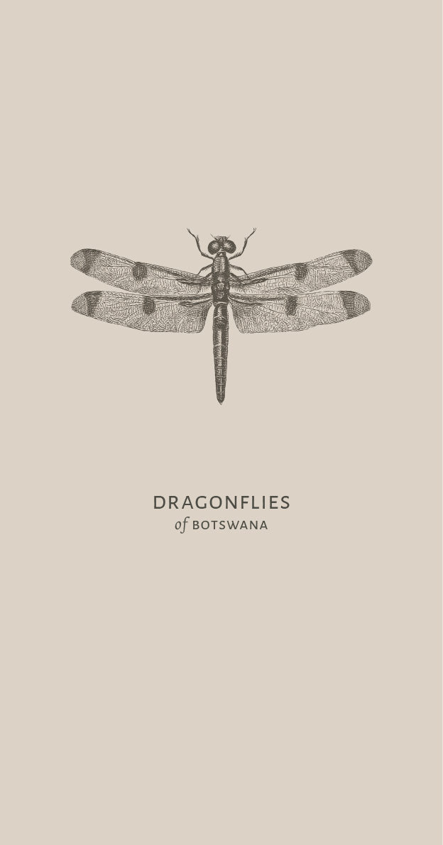daunara-guide-4.png