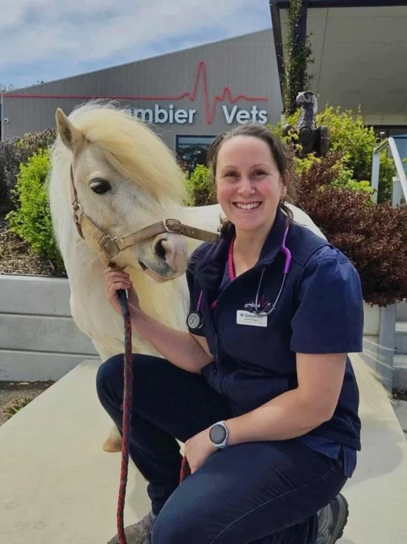 A veterinarian in scrubs kneels next to a white horse with a blond mane outside a veterinary clinic, smiling at the camera.