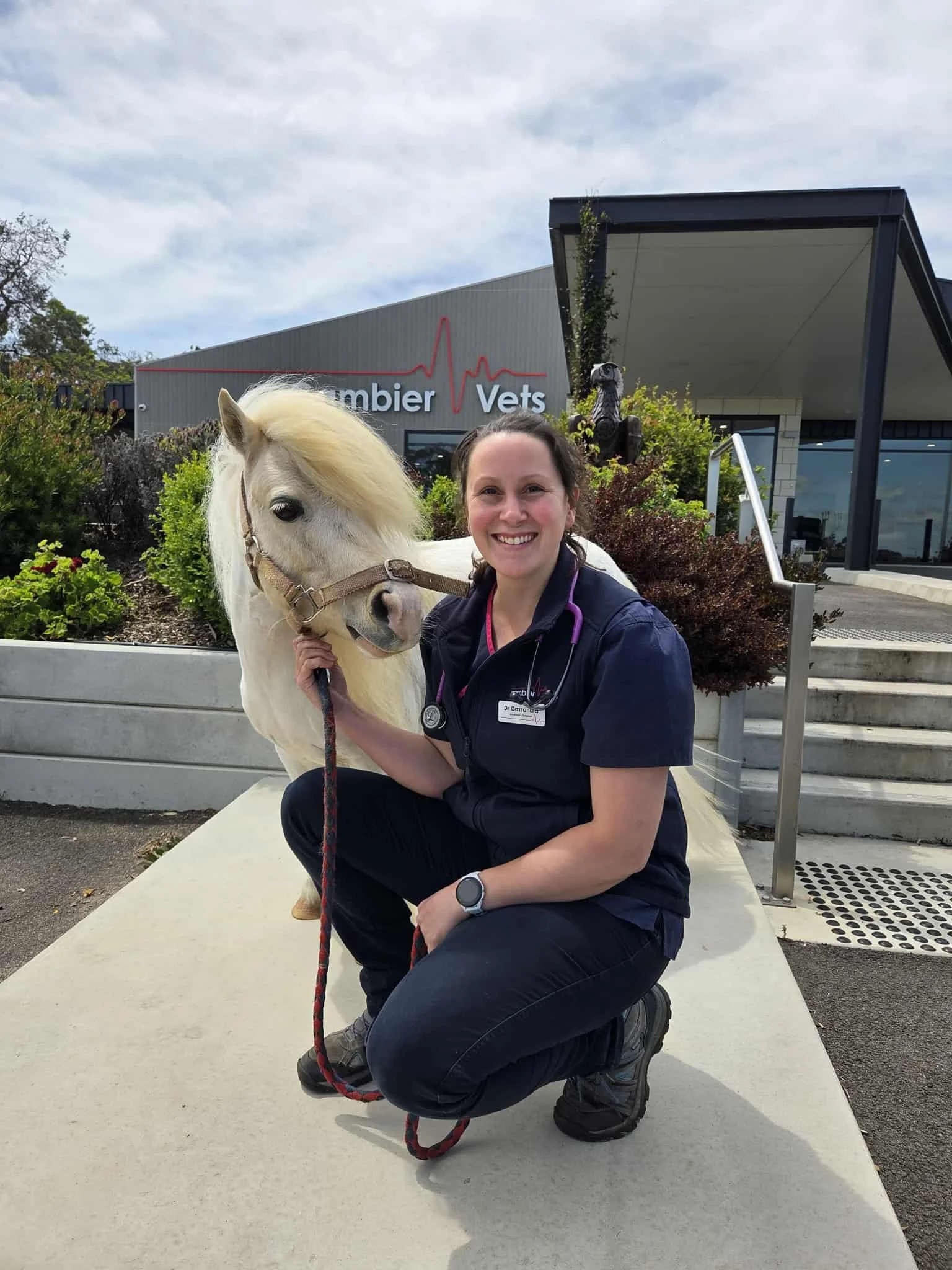 White pony standing outside near a bush with red flowers, in front of a building with a sign reading 'Gambier Vets' and a red line graph on the wall.